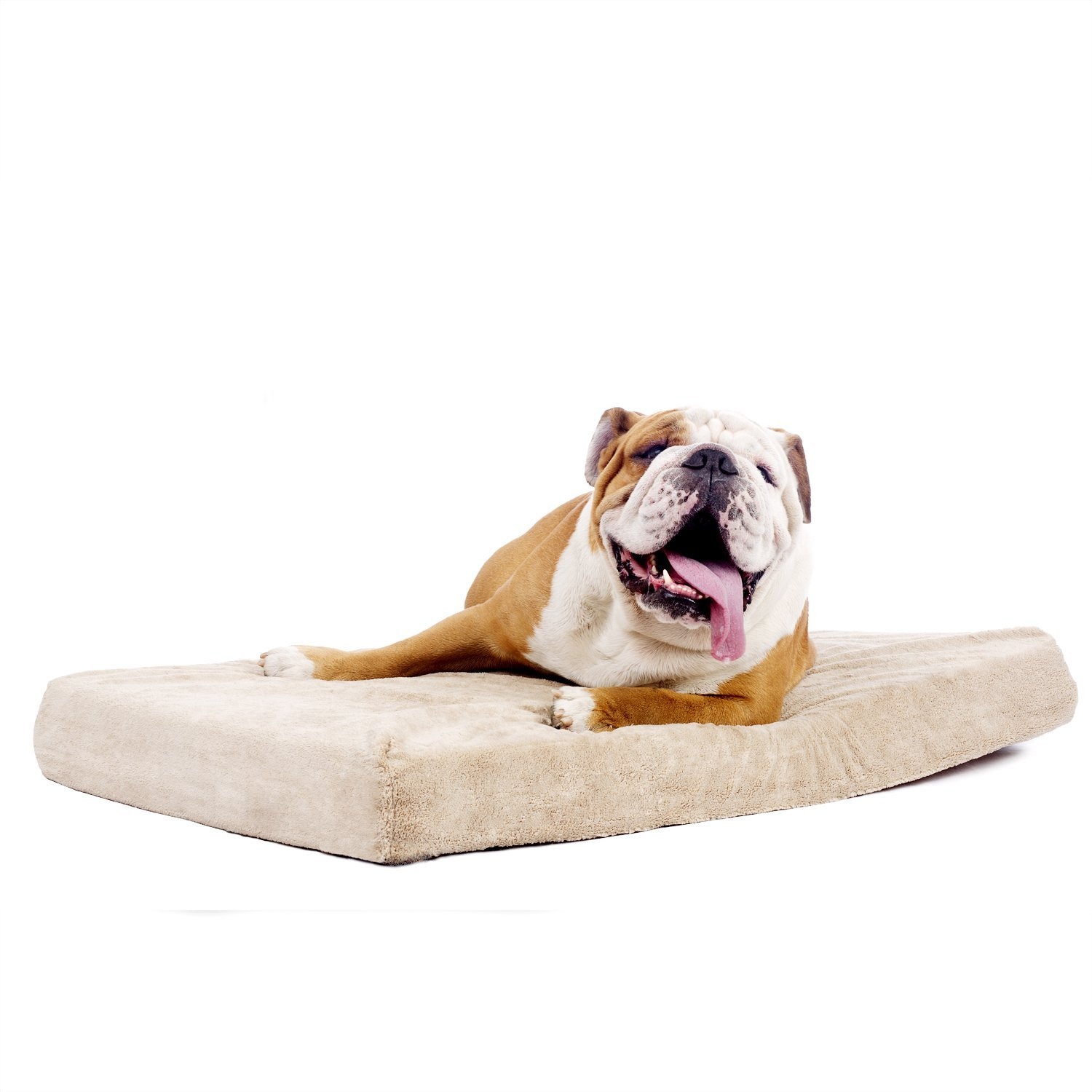 FaFurn - Memory Foam Orthopedic Dog Bed in Medium