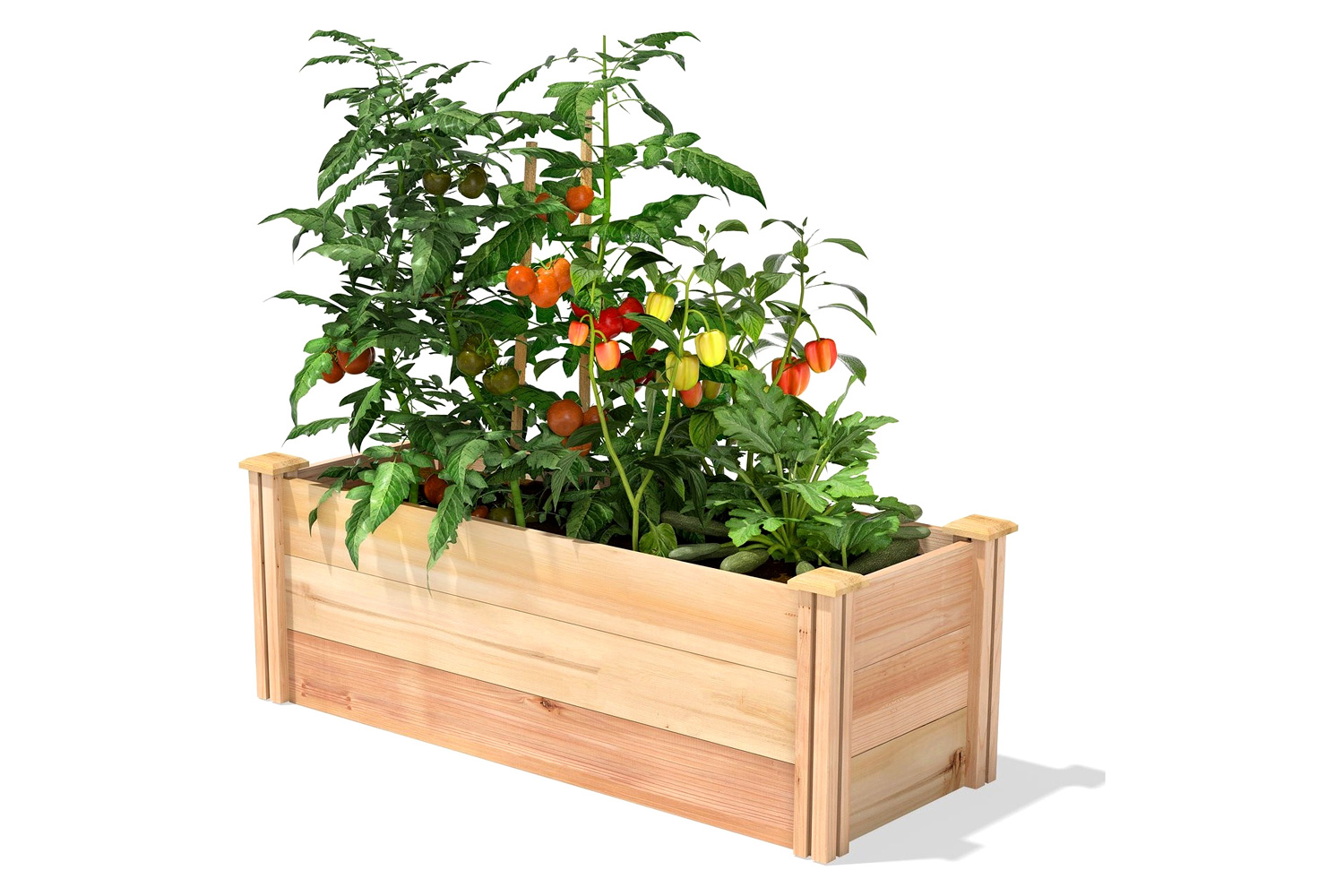 FaFurn - Premium Cedar Wood Raised Garden Bed