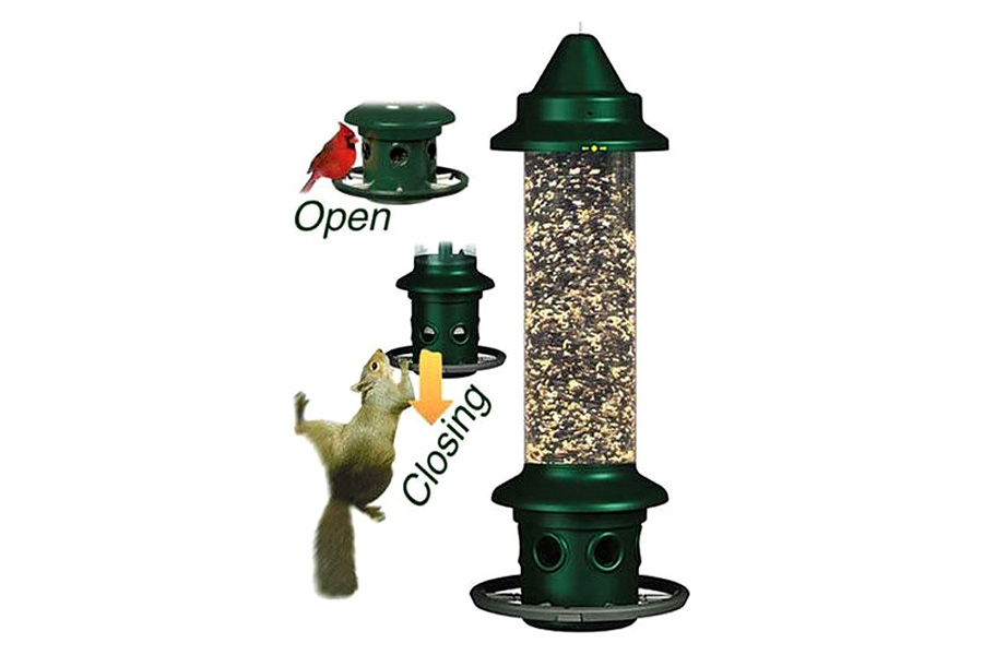 FaFurn - Squirrel-Proof Bird Feeder with Perch Ring