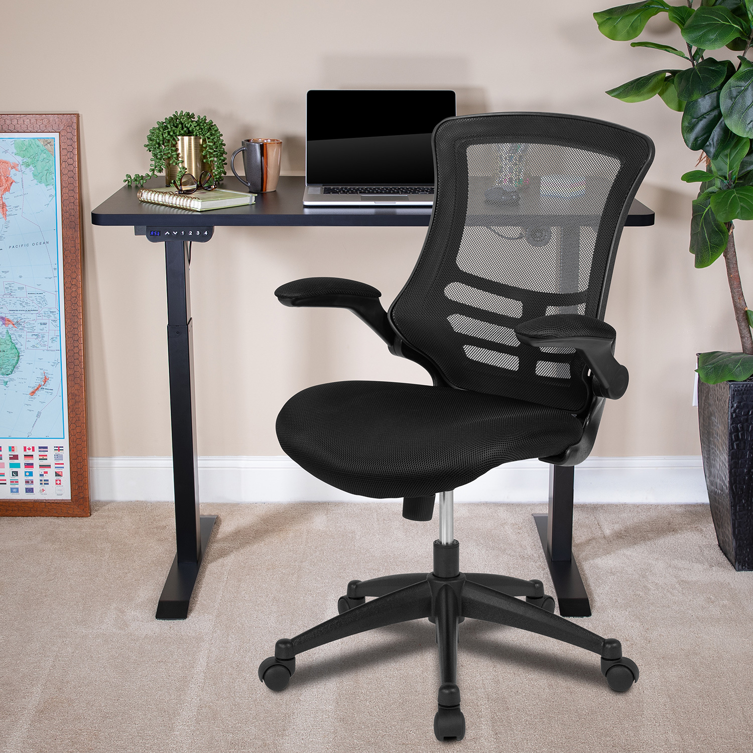 BLNK - Regent Electric Height Adjustable Standing Desk with Black Mesh Swivel Ergonomic Task Office Chair