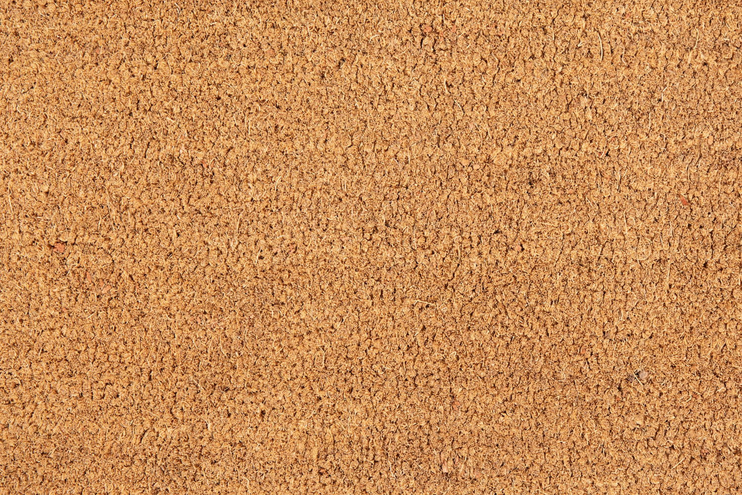 BLNK Harbold Coir Indoor-Outdoor Solid Doormat with Non-Slip Backing - Natural