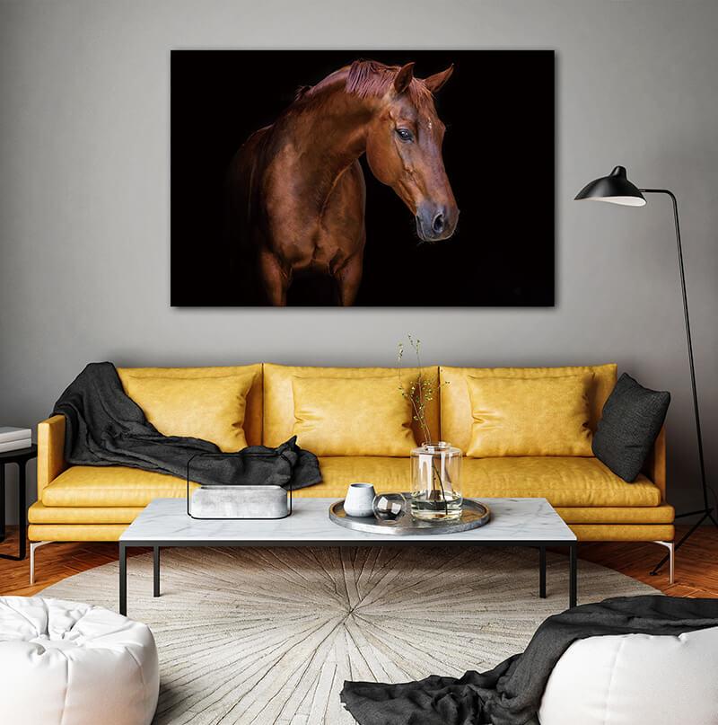 Furnings - Nobility Acrylic Horse Print Wall Art