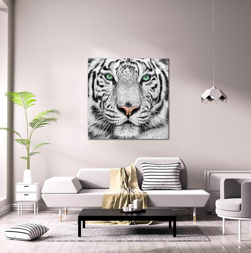 Furnings - White Tiger Acrylic Print Unframed Wall Art