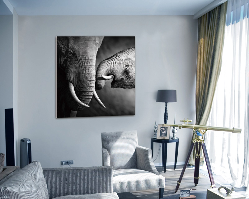 J&M - Wall Art Mama Elephant in Black/White