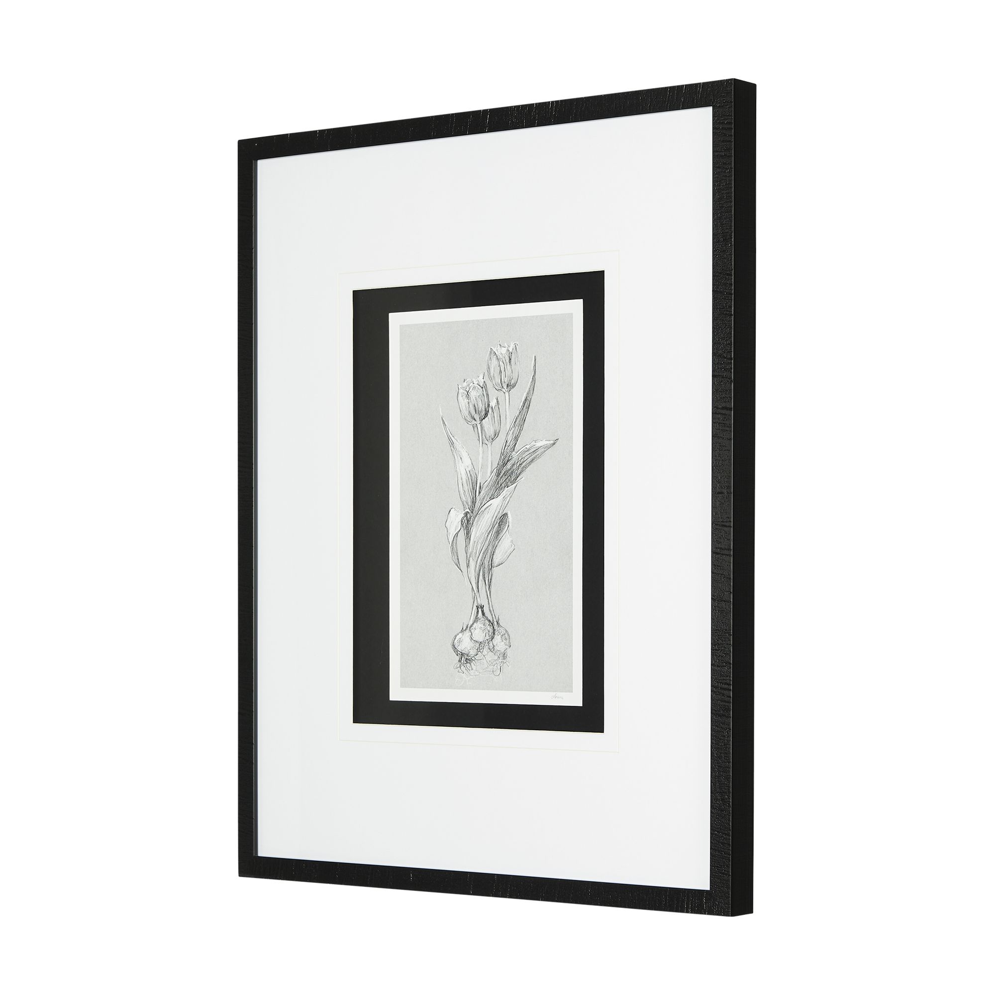 Mercana Botanical Sketches I - Gray/Black, Medium