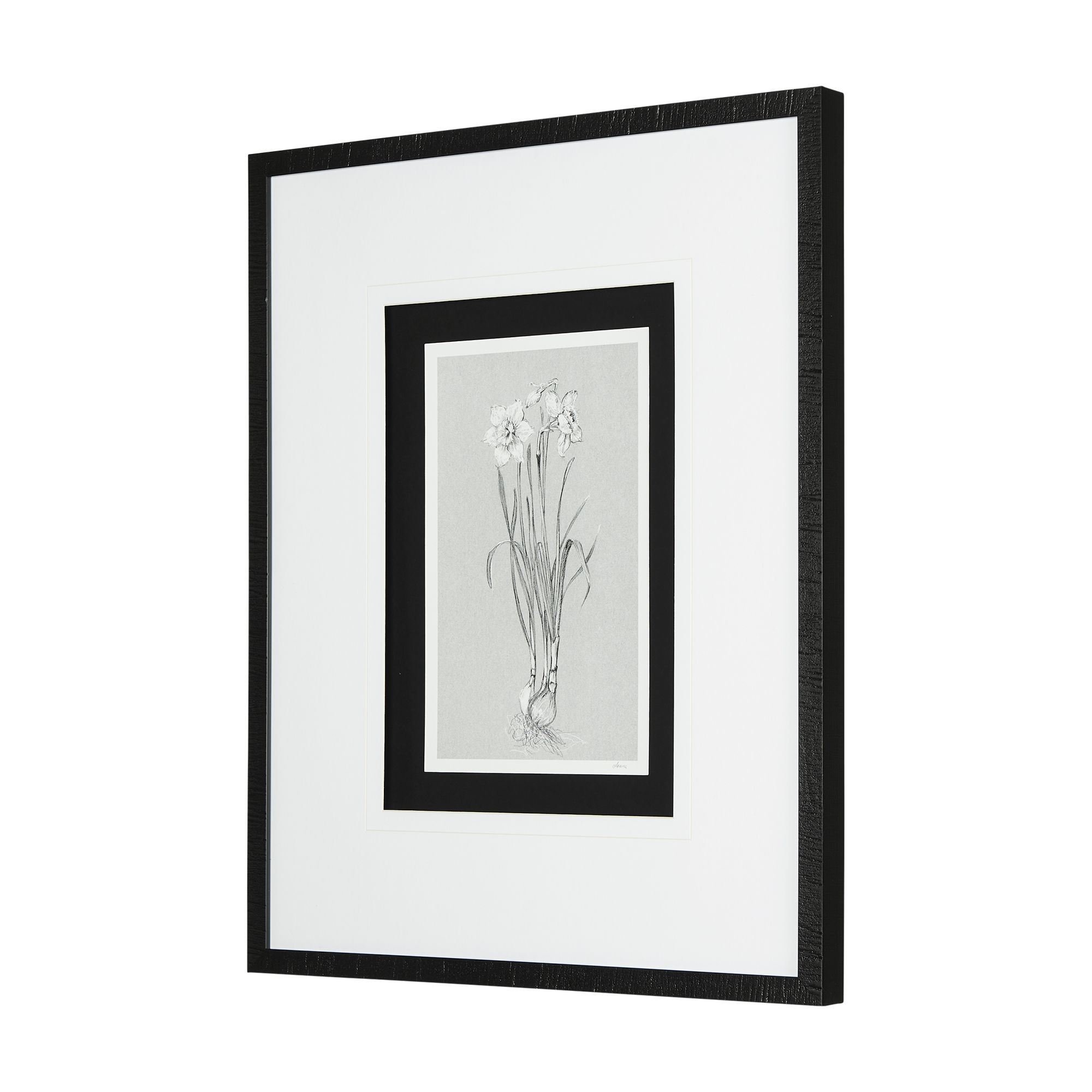 Mercana Botanical Sketches II - Gray/Black, Medium