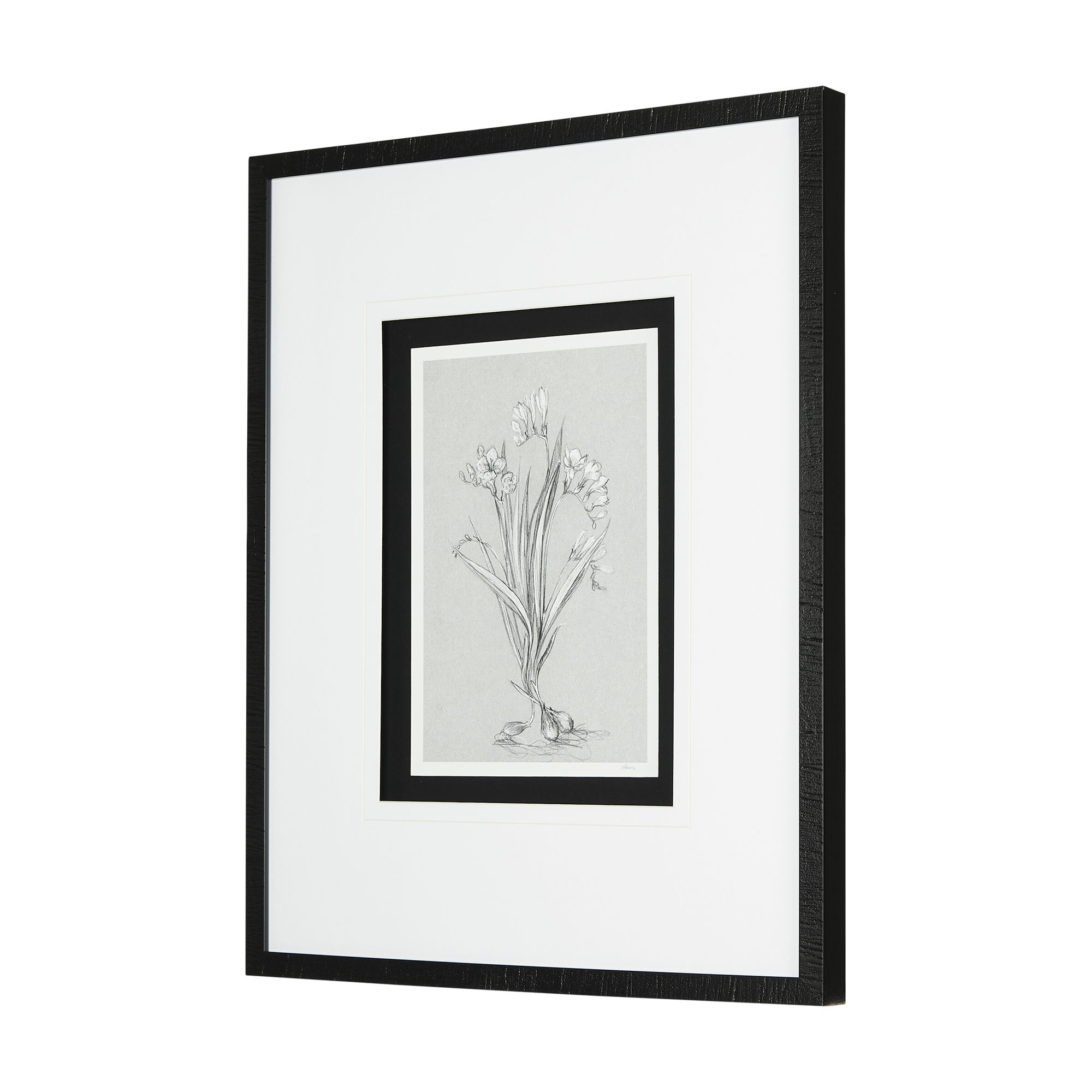 Mercana Botanical Sketches III - Gray/Black, Medium