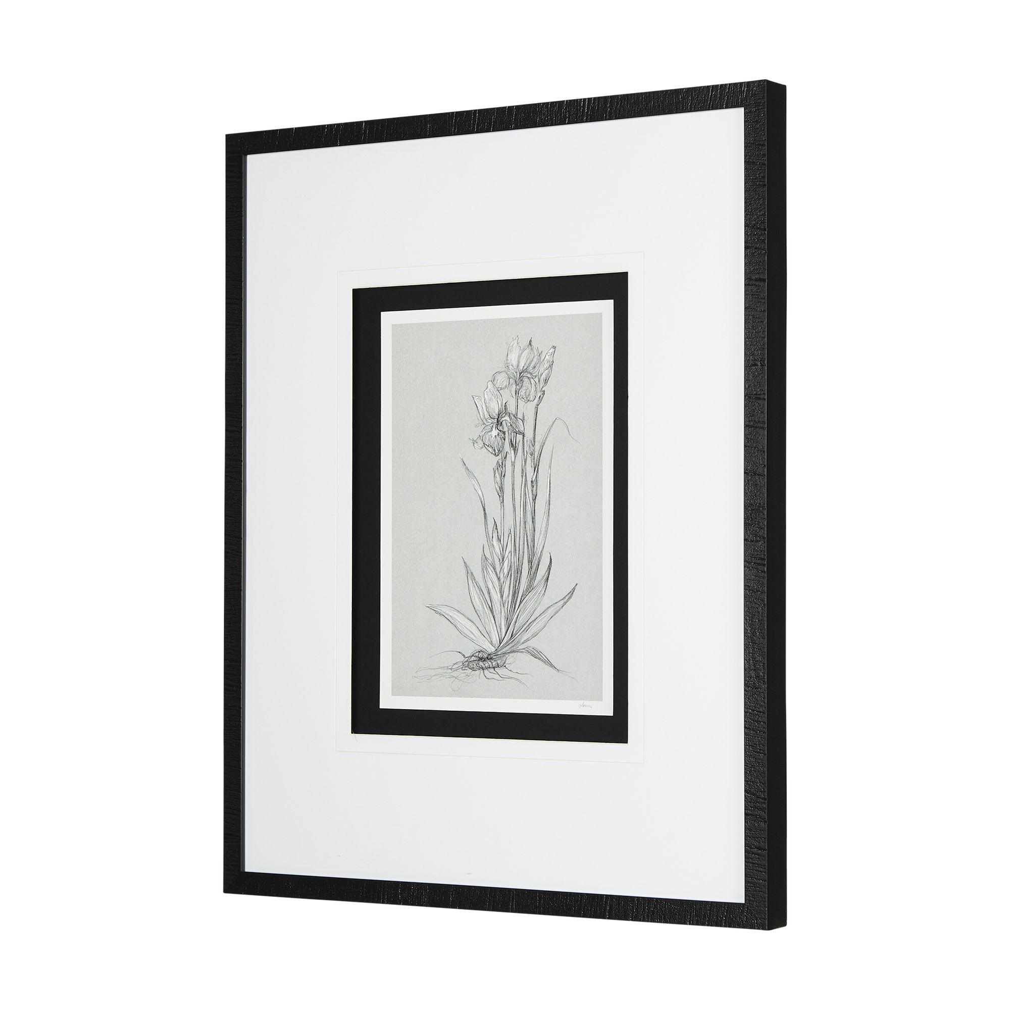 Mercana Botanical Sketches IV - Gray/Black, Medium