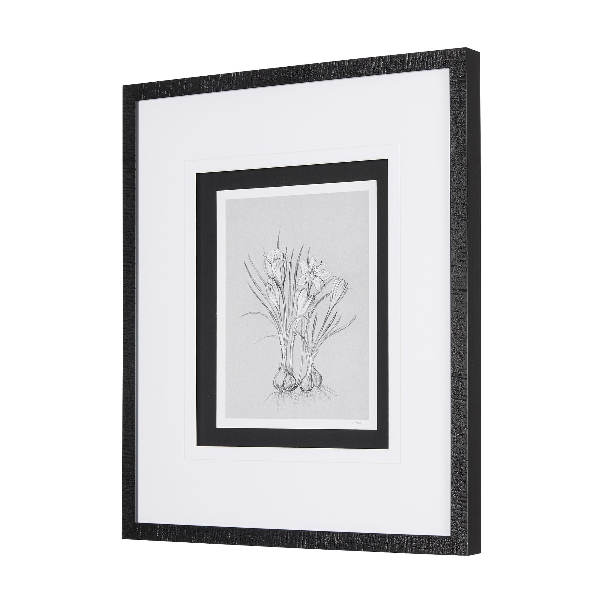 Mercana Botanical Sketches V - Gray/Black, Medium