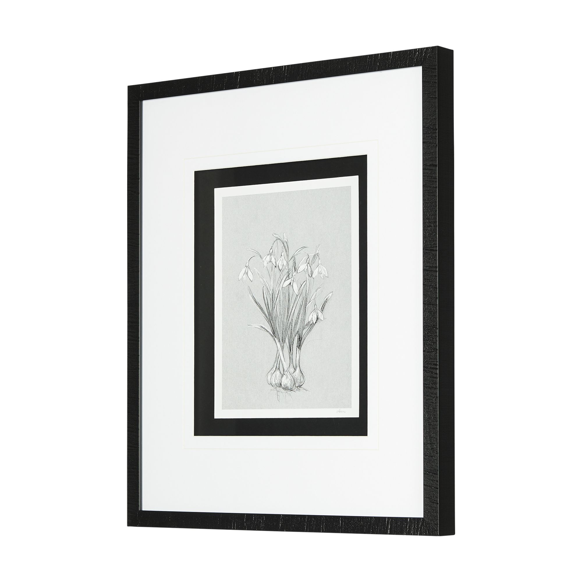 Mercana Botanical Sketches VI - Gray/Black, Medium