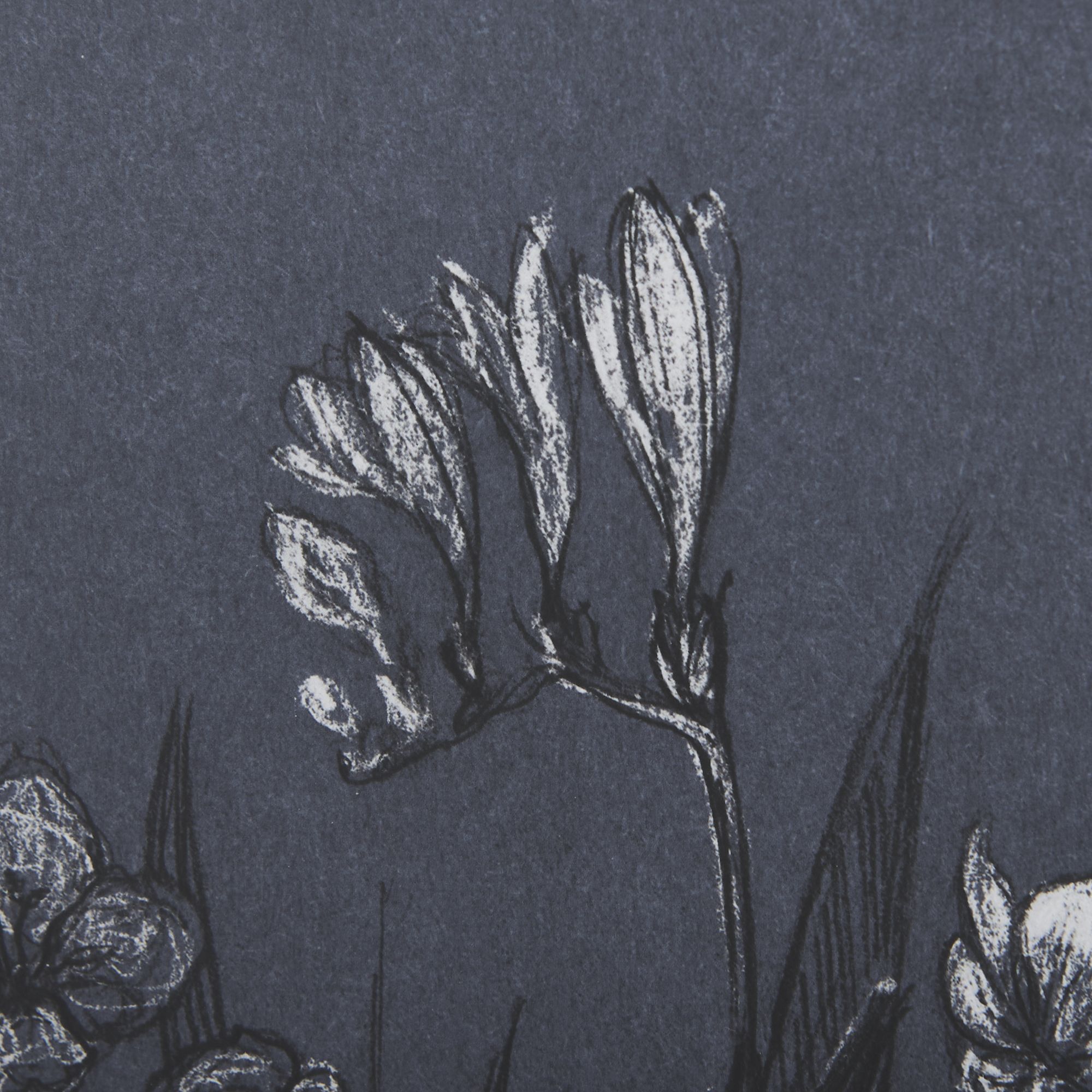 Mercana Botanical Sketches III - Blue, Medium