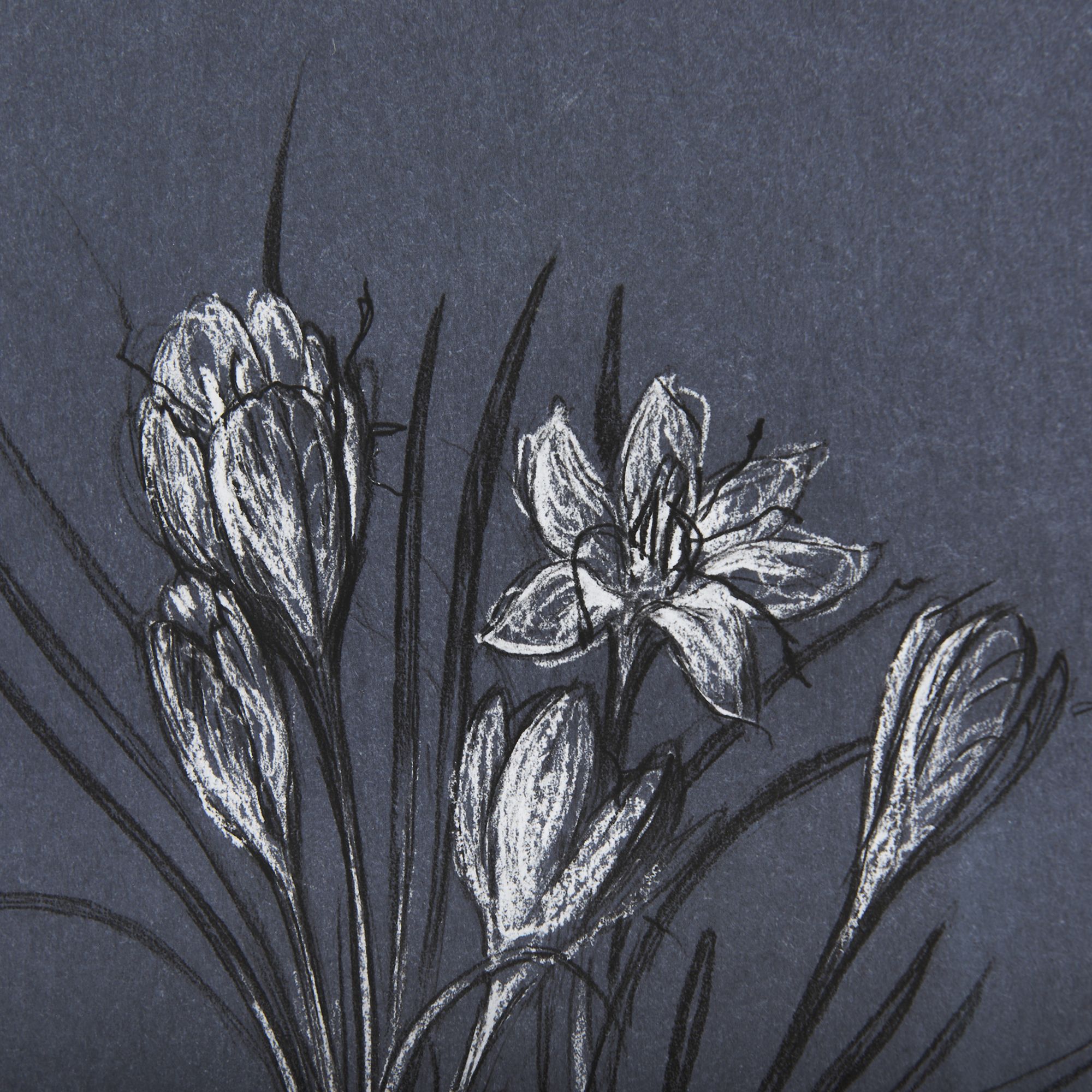 Mercana Botanical Sketches V - Blue, Medium