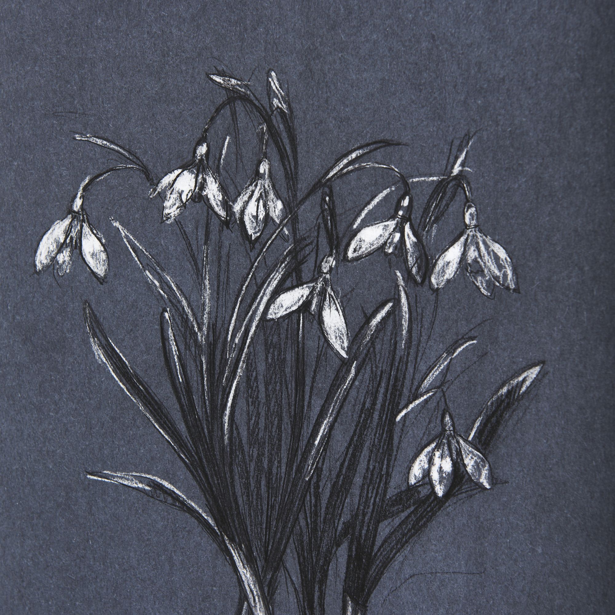 Mercana Botanical Sketches VI - Blue, Medium