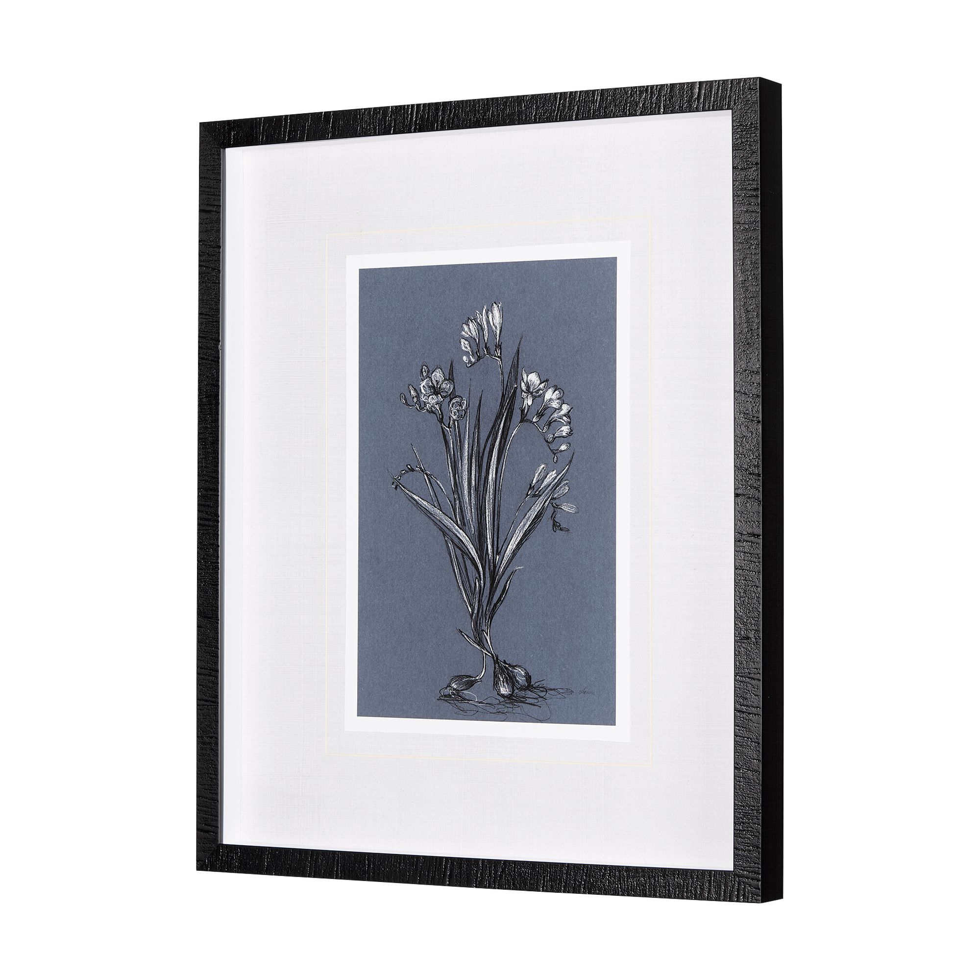 Mercana Botanical Sketches III - Blue/Black, Medium