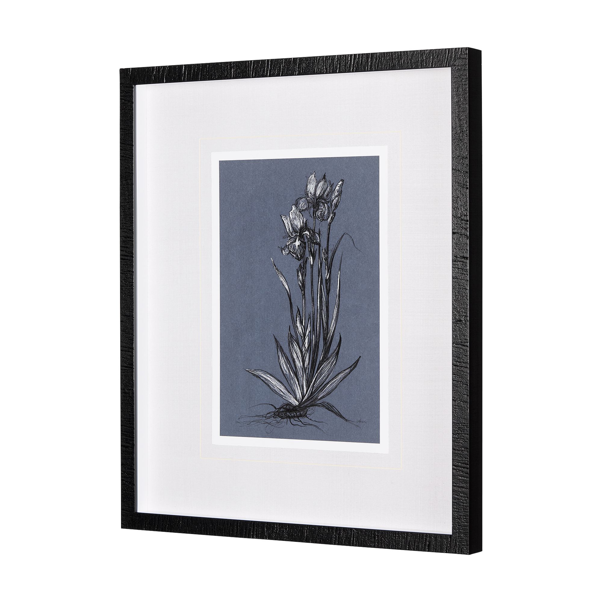 Mercana Botanical Sketches IV - Blue/Black, Medium