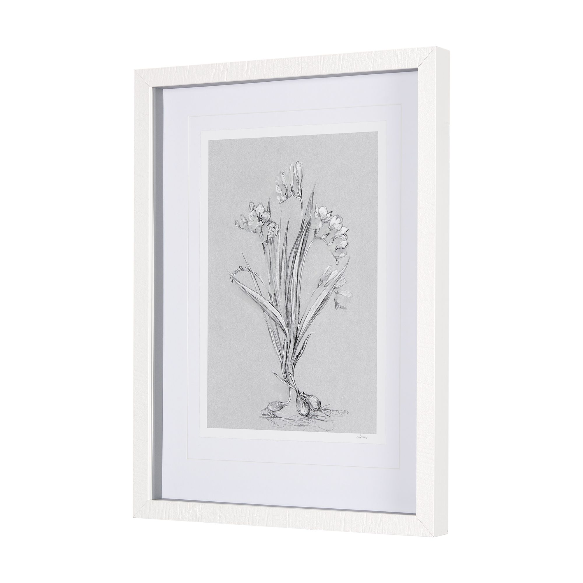 Mercana Botanical Sketches III - Gray, Small