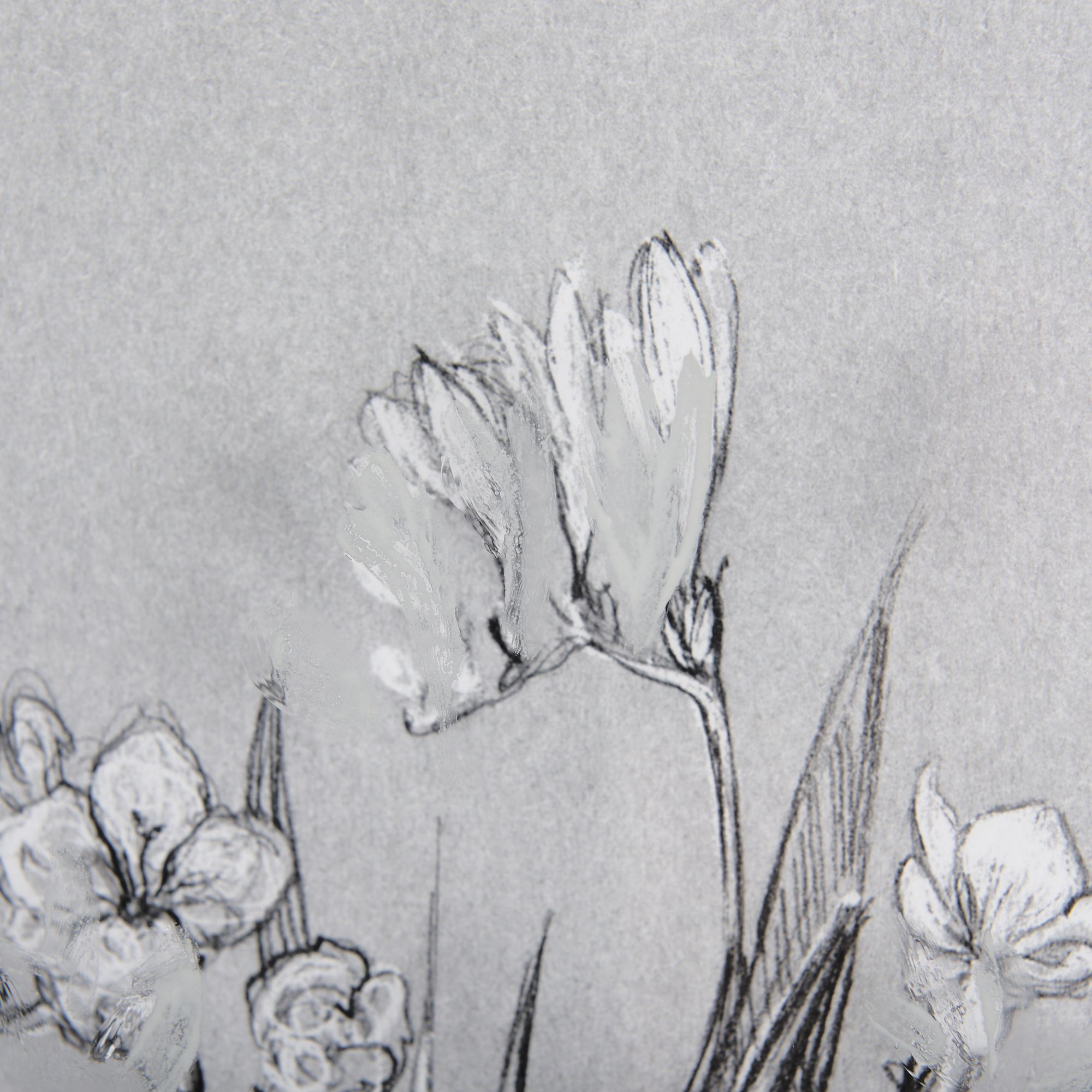 Mercana Botanical Sketches III - Gray, Small