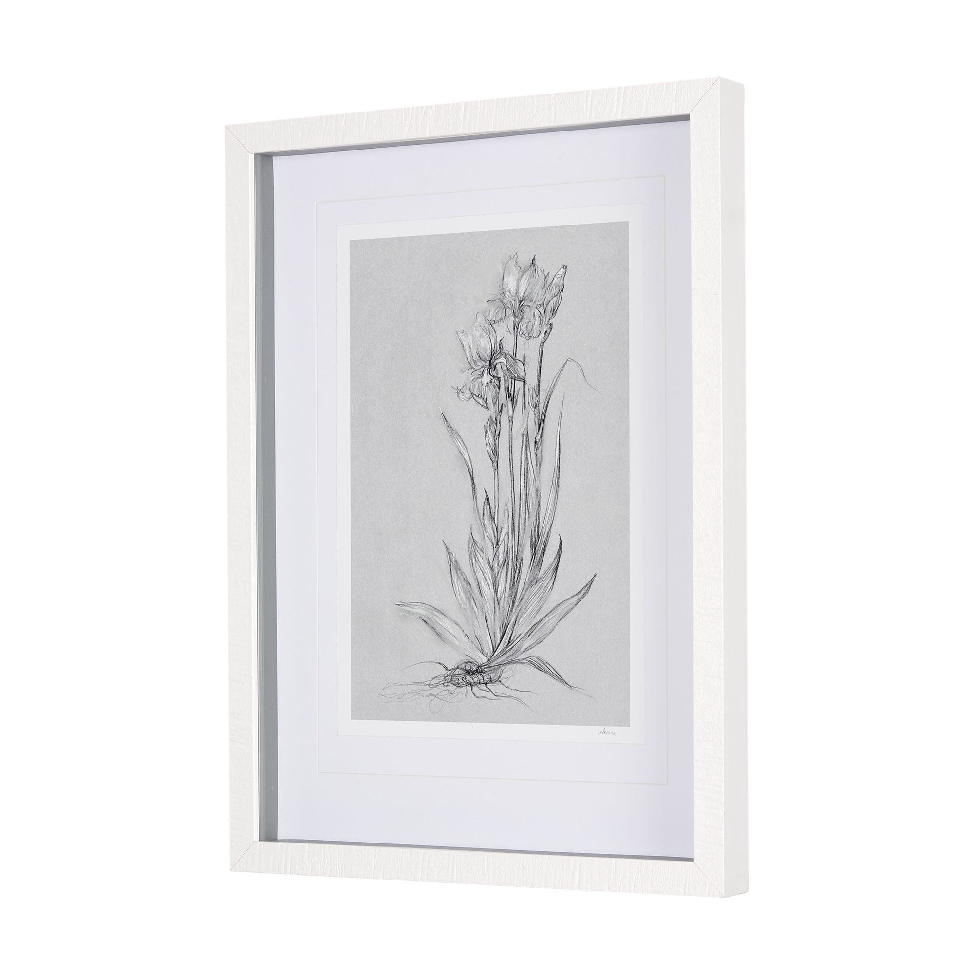 Mercana Botanical Sketches IV - Gray, Small