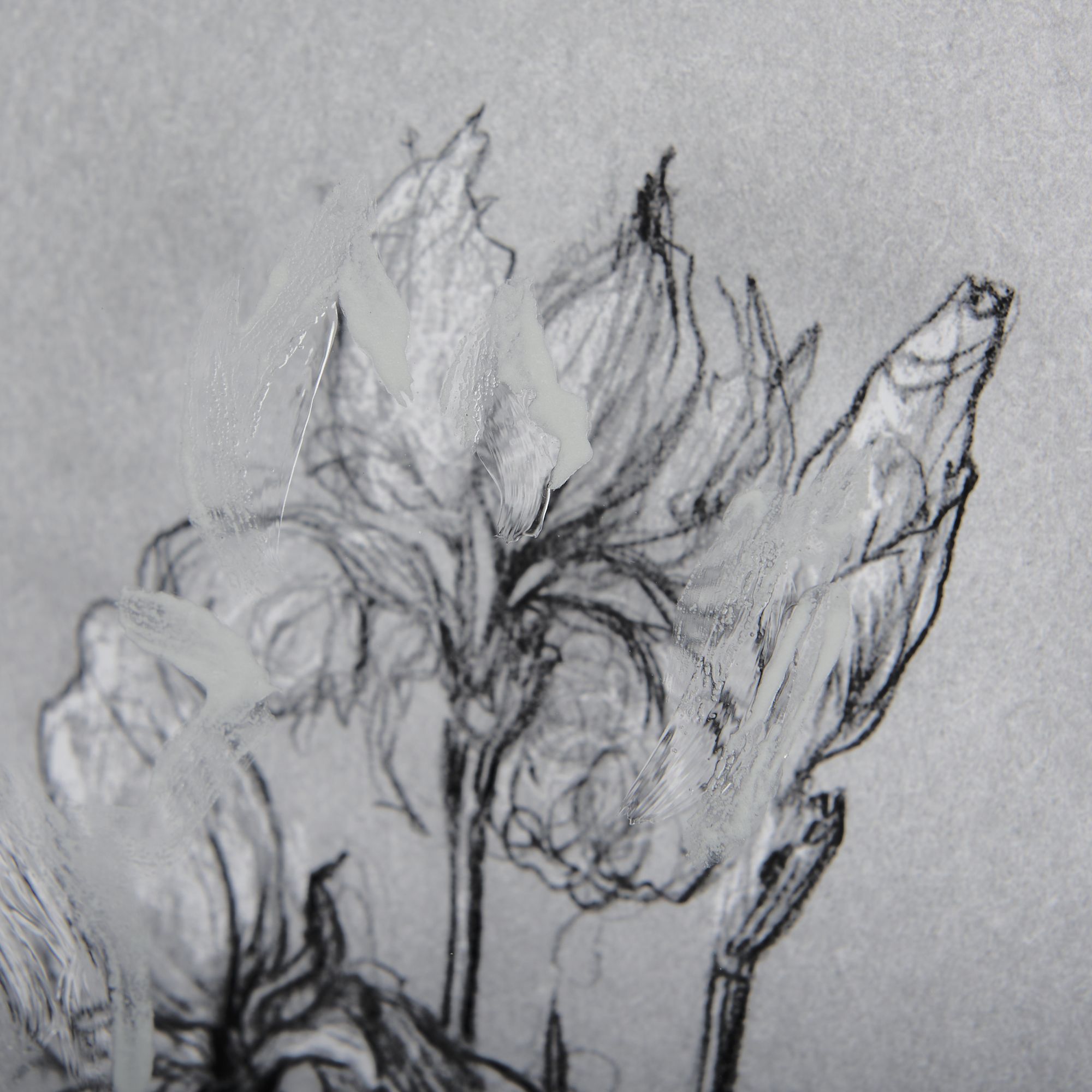 Mercana Botanical Sketches IV - Gray, Small