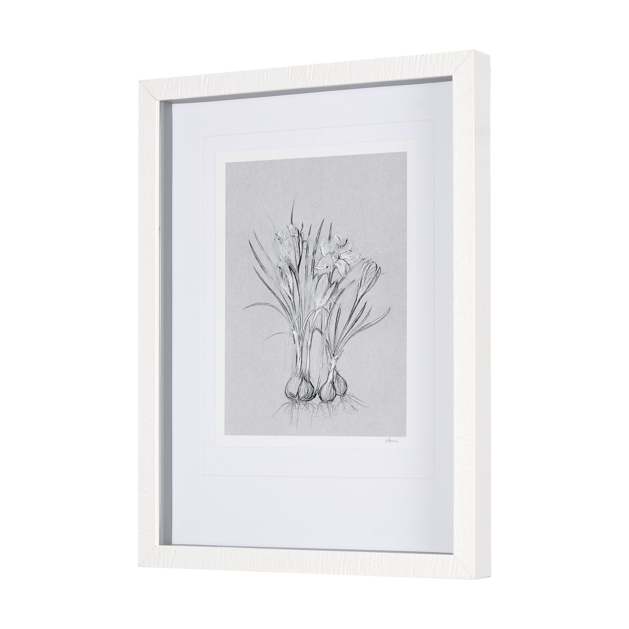 Mercana Botanical Sketches V - Gray, Small