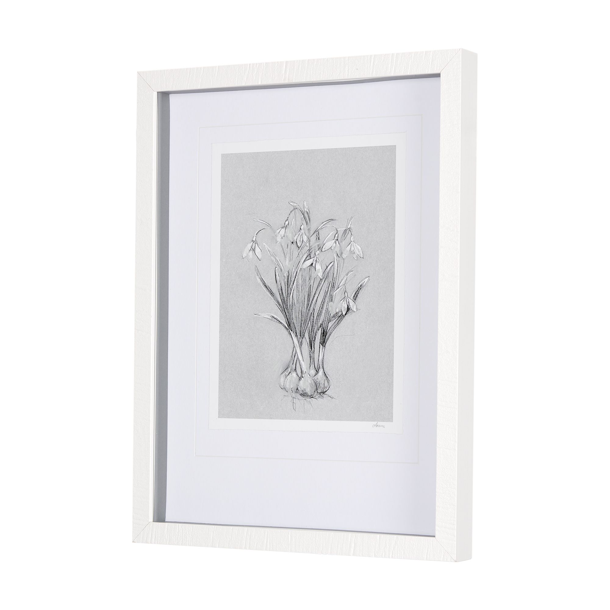 Mercana Botanical Sketches VI - Gray, Small