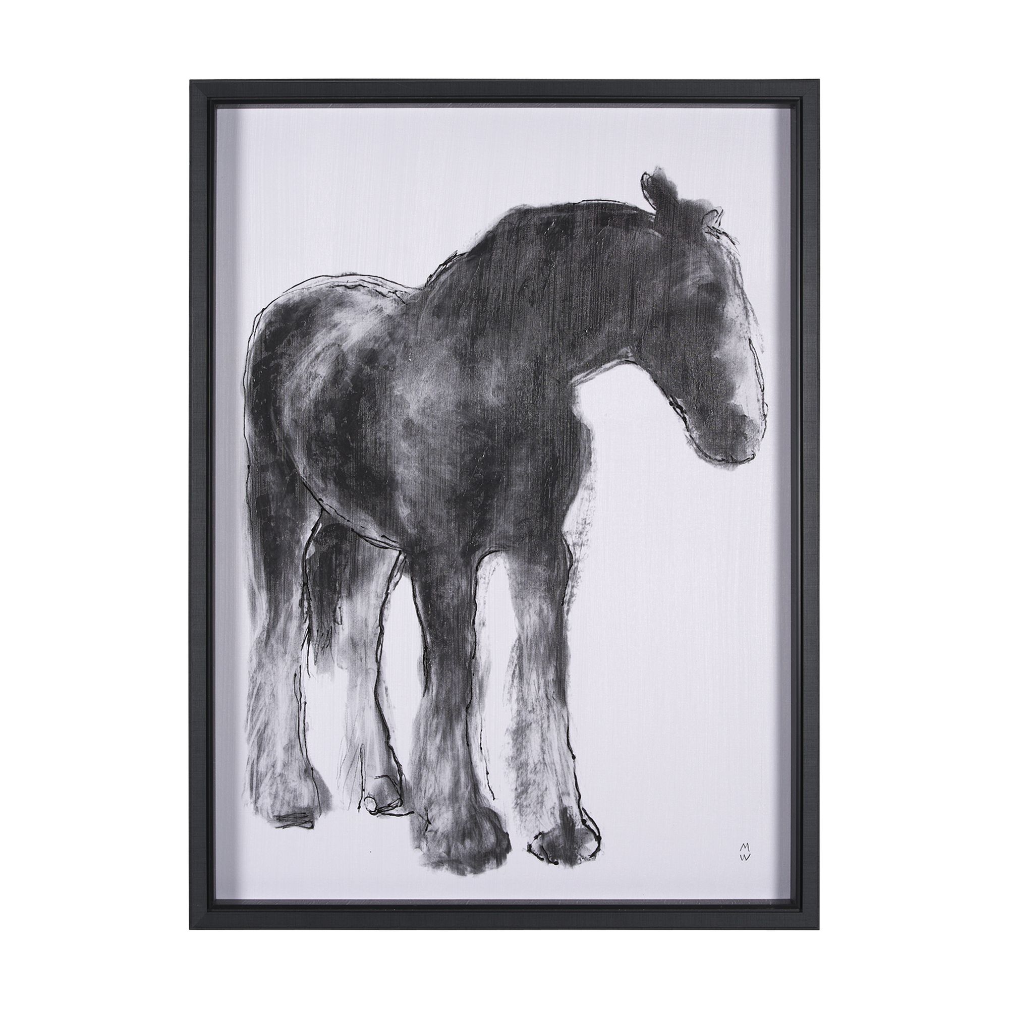 Mercana - Equine Sketch