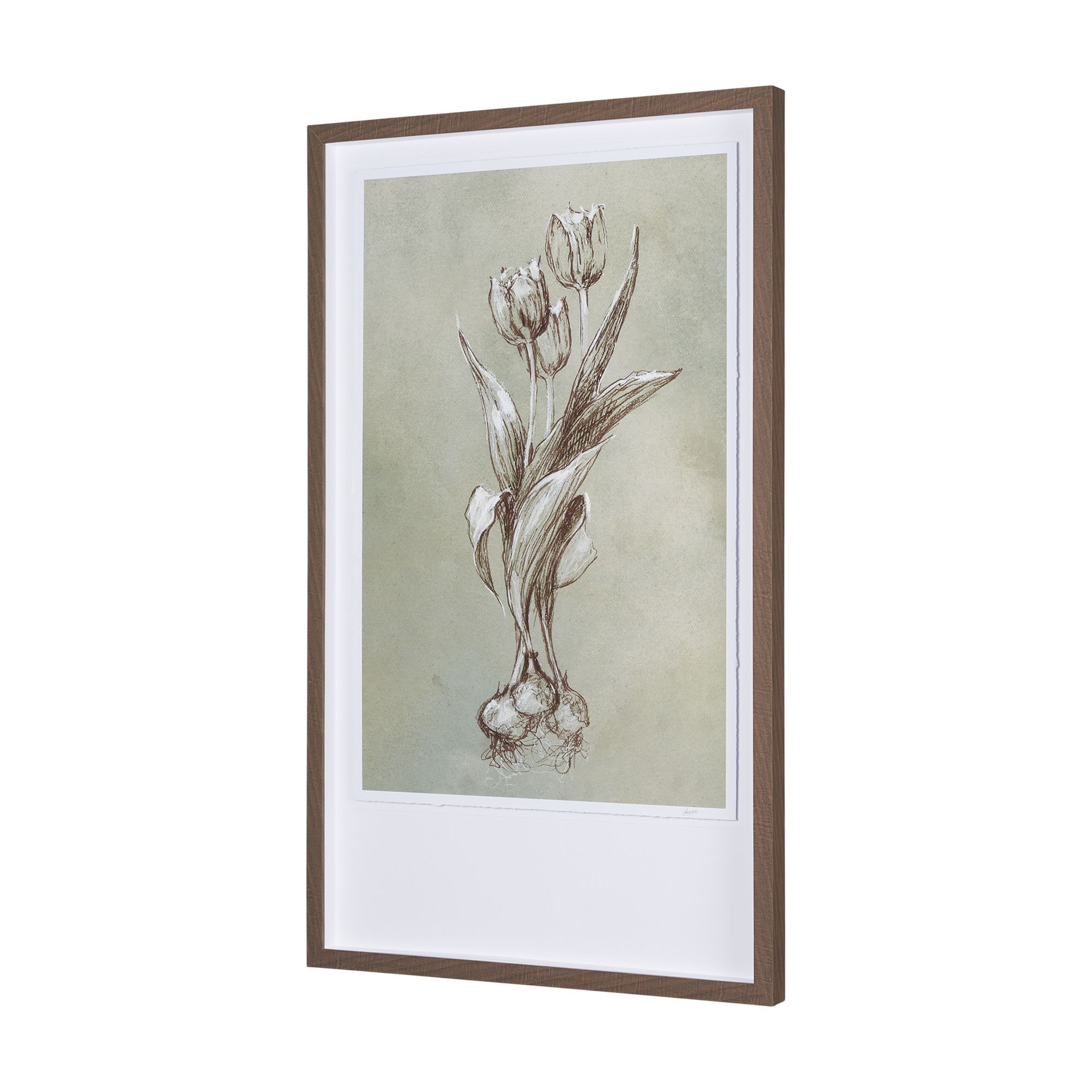 Mercana Botanical Sketch I - Light Green, Large