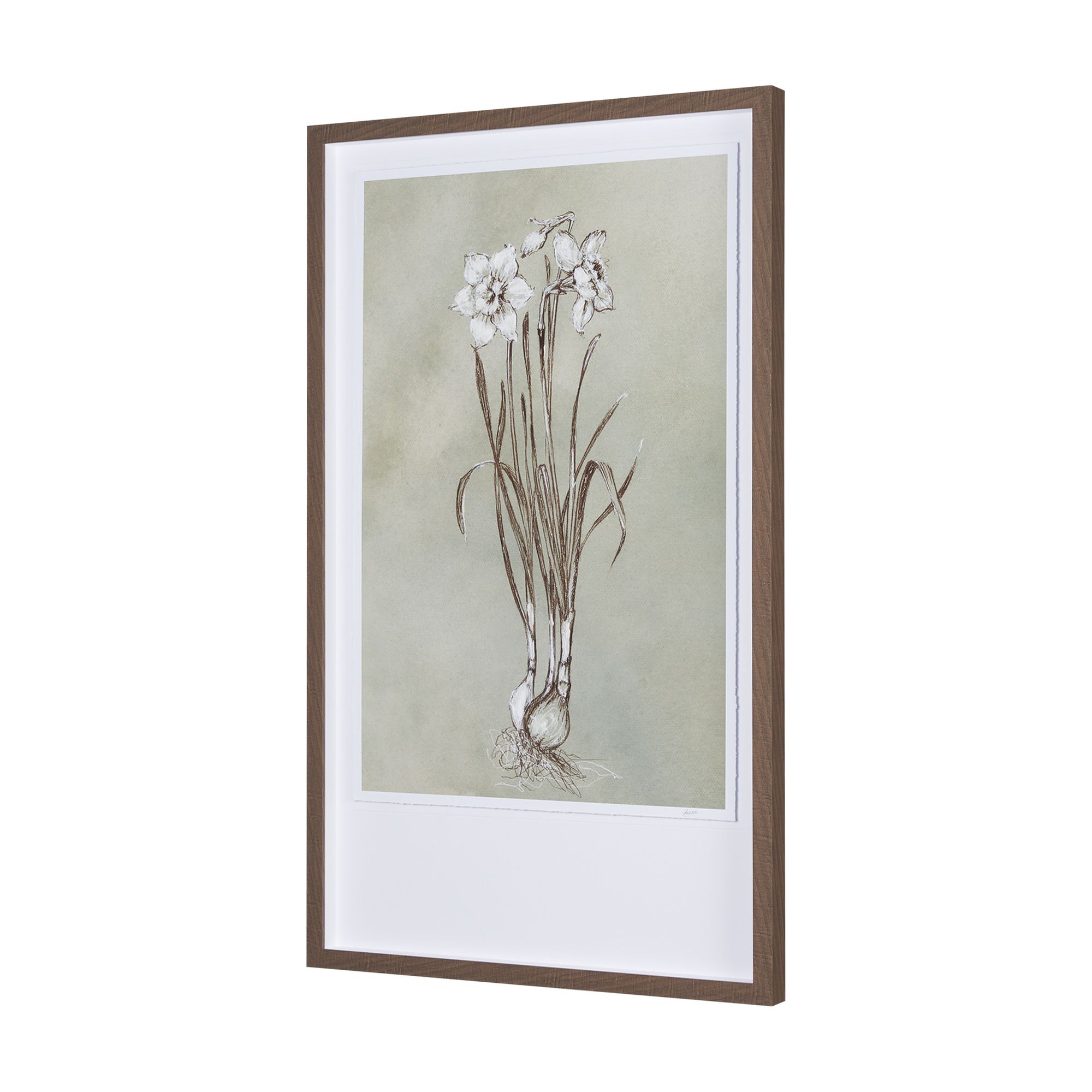 Mercana Botanical Sketch II - Light Green, Large