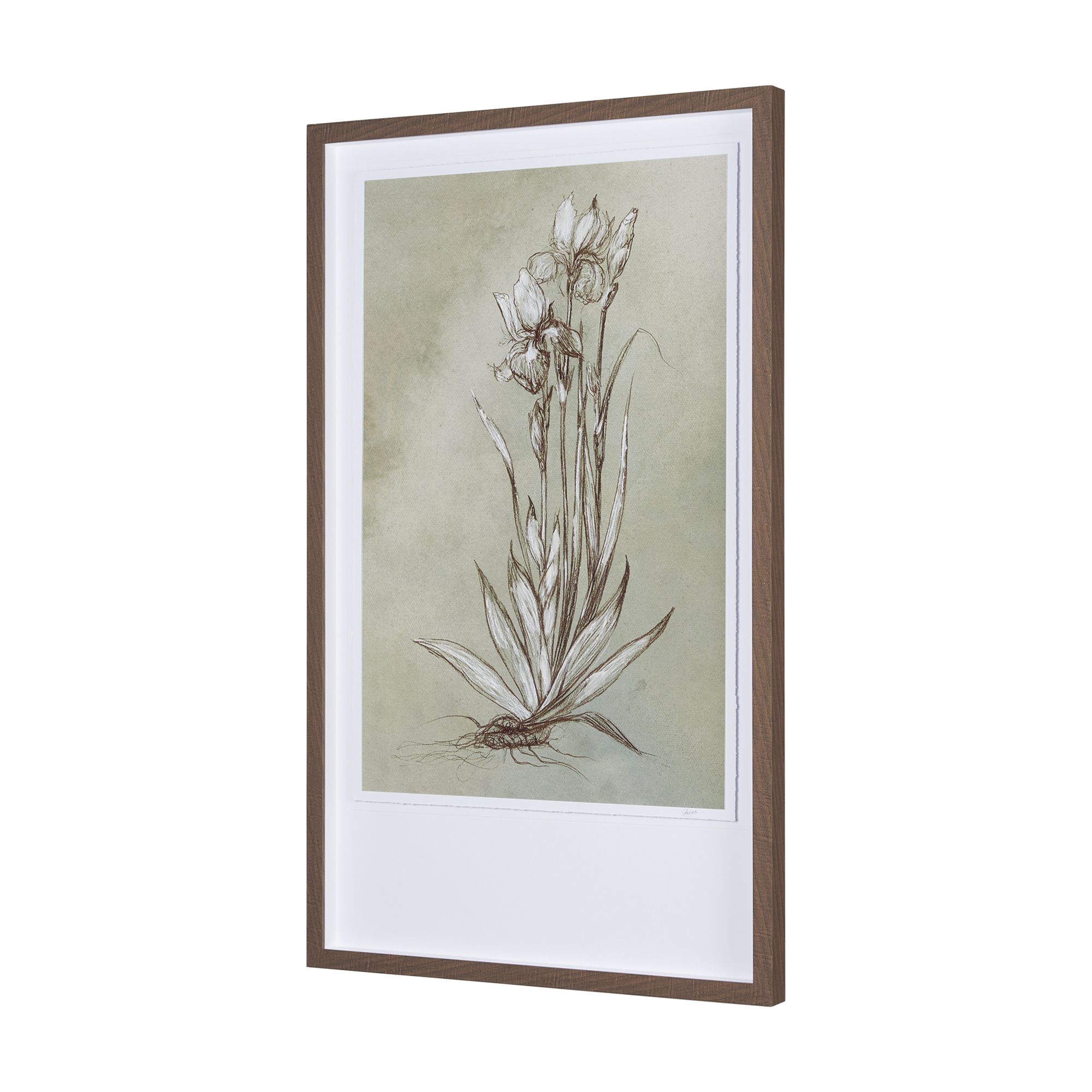 Mercana Botanical Sketch IV - Light Green, Large