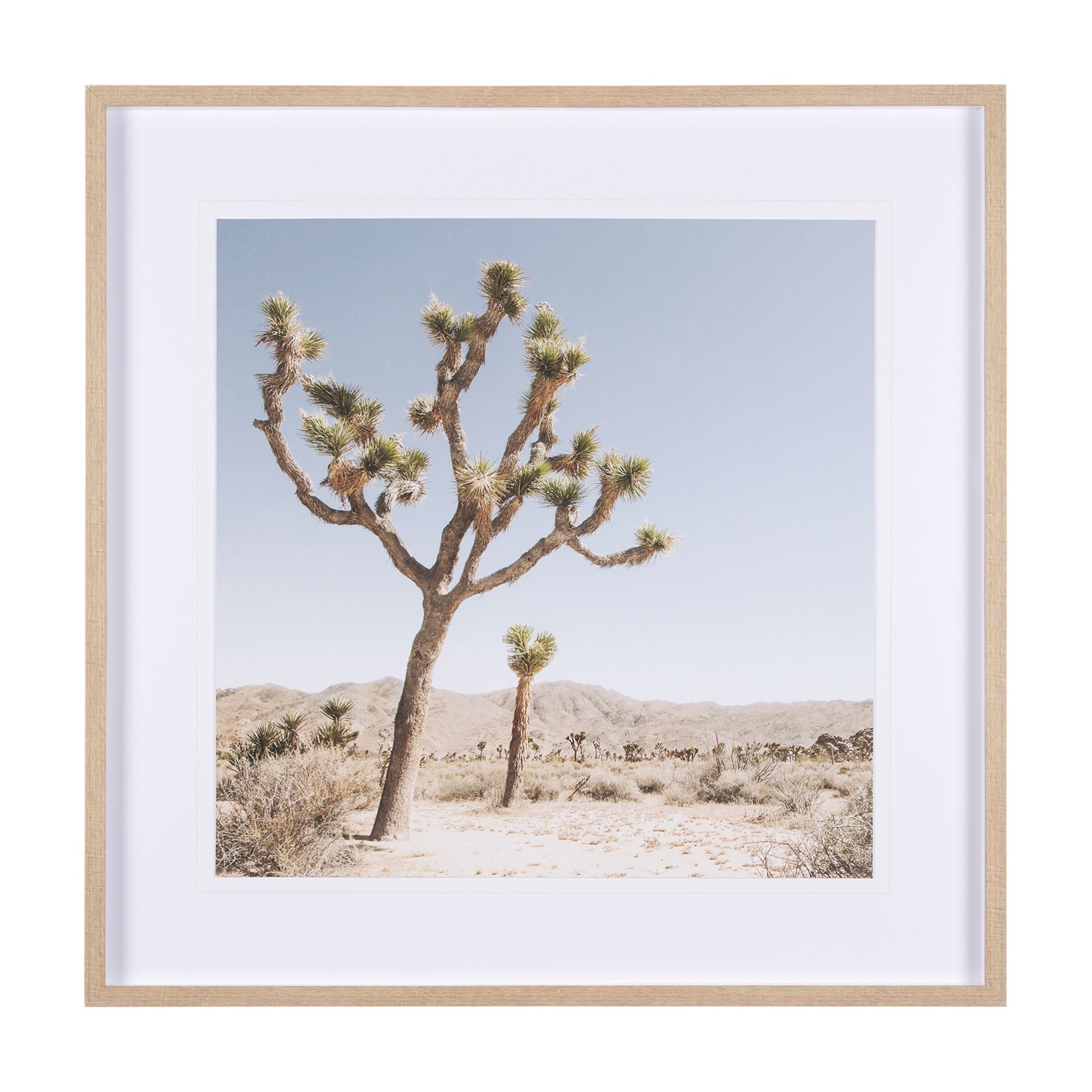 Mercana - Joshua Tree