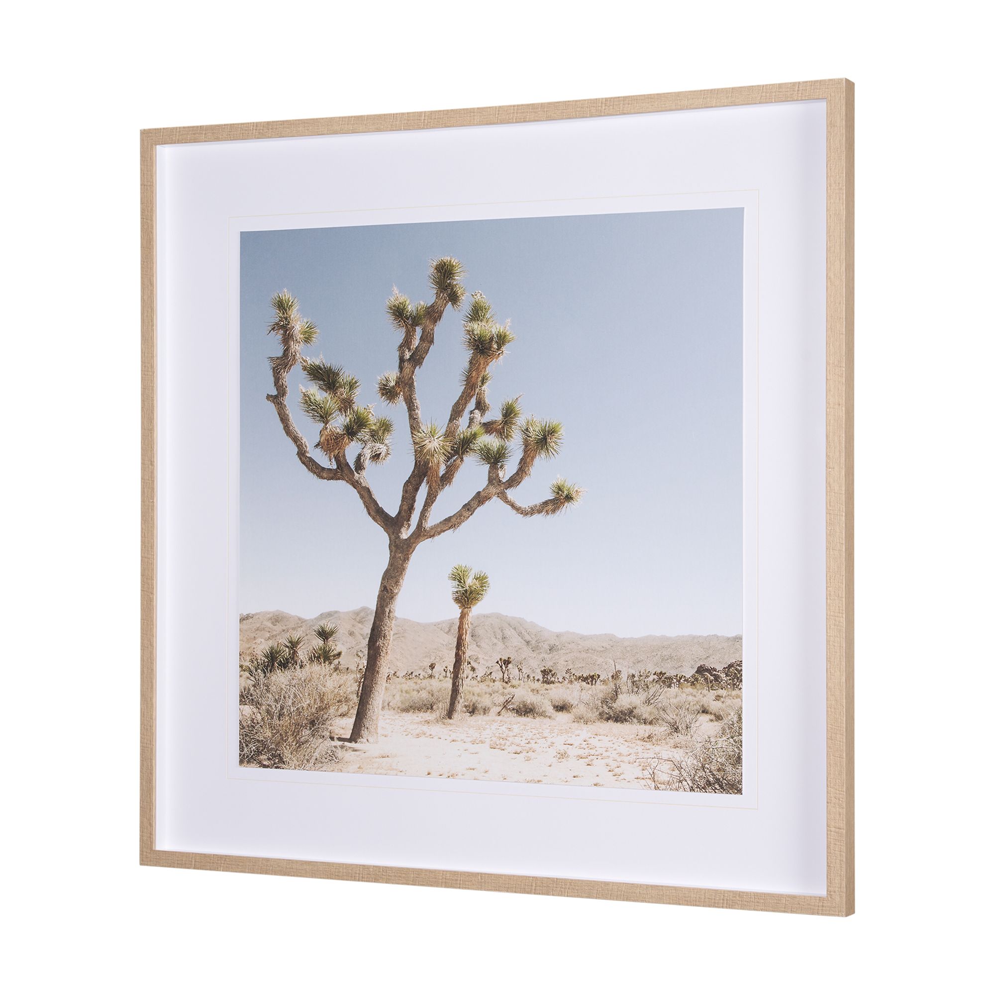 Mercana Joshua Tree 1