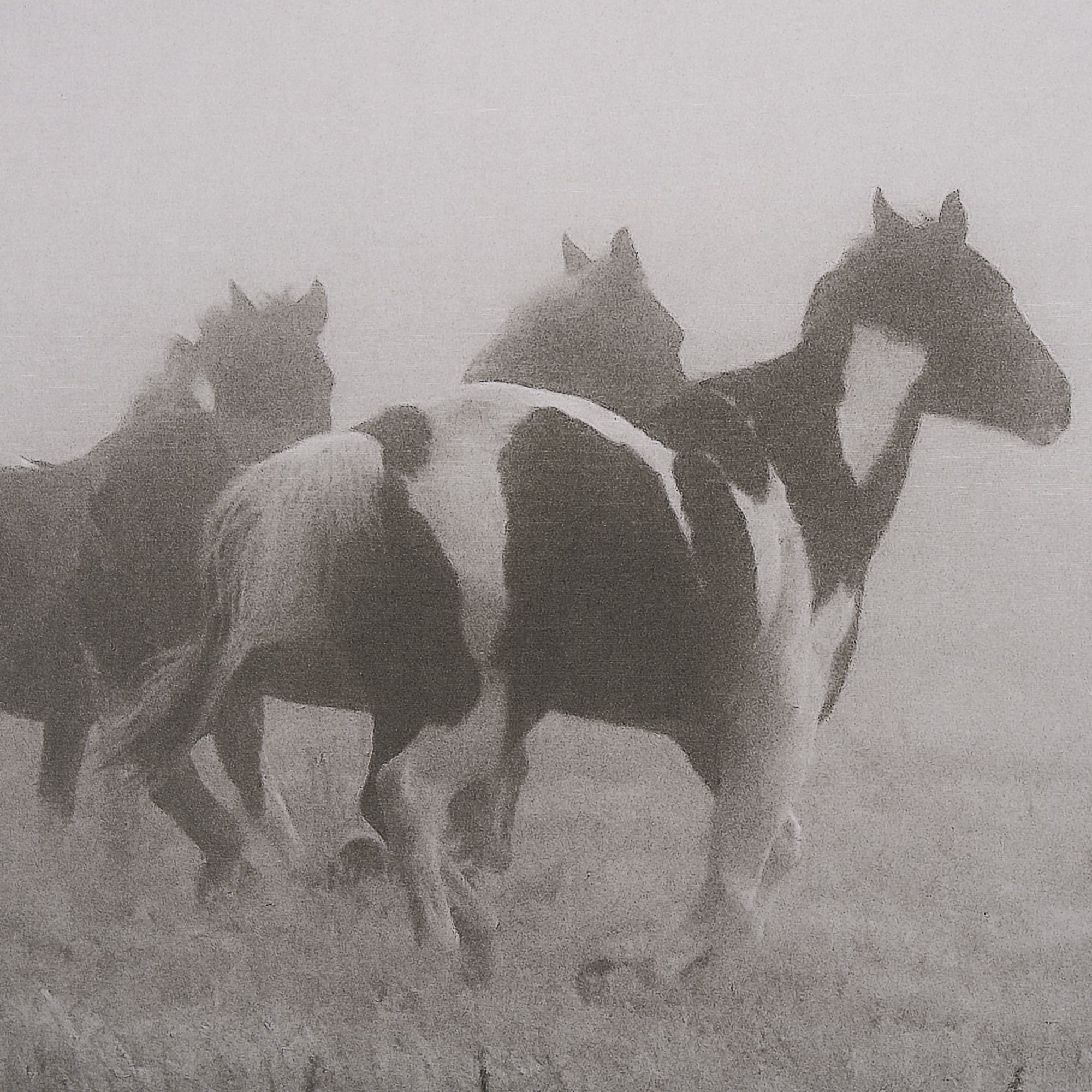 Mercana - Painted Horses on the Run