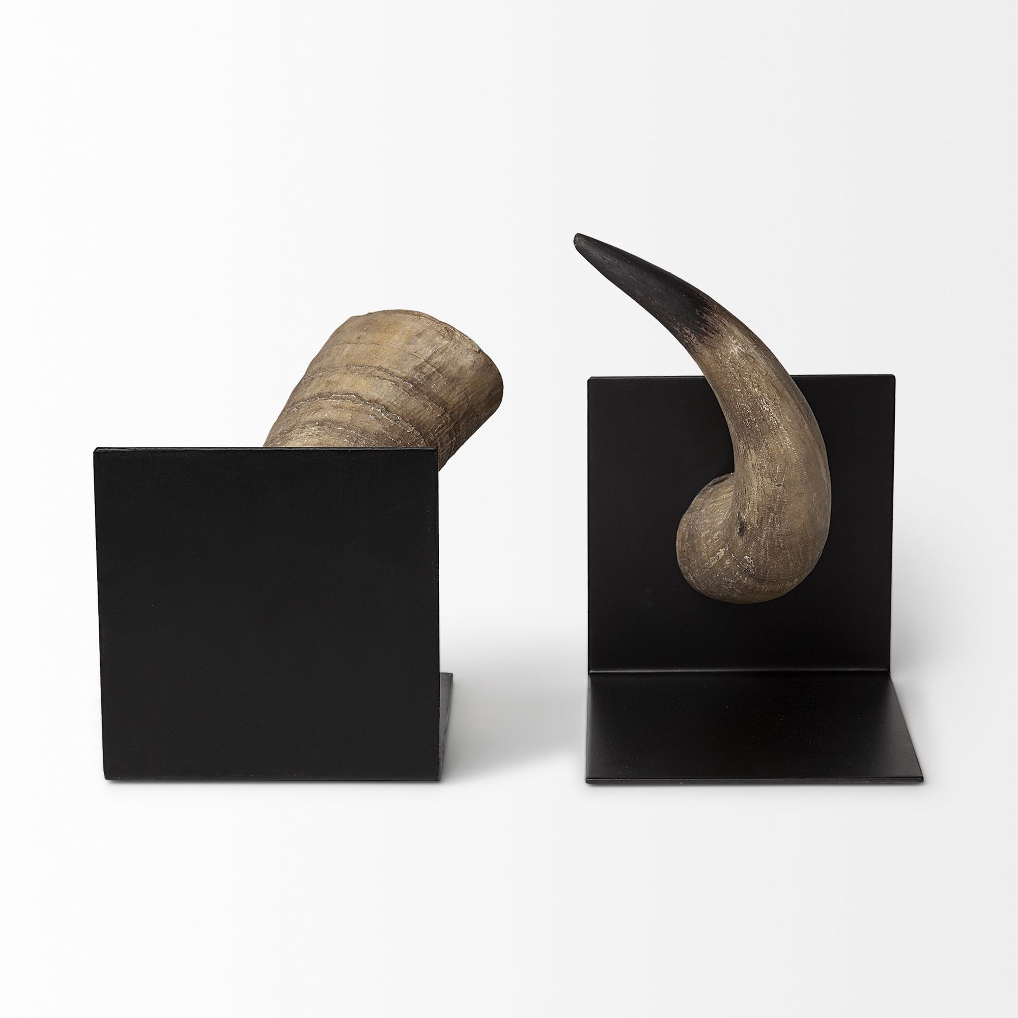 Mercana - Nickerson 6L x 7W Bull Horn Bookends (Set of 2)