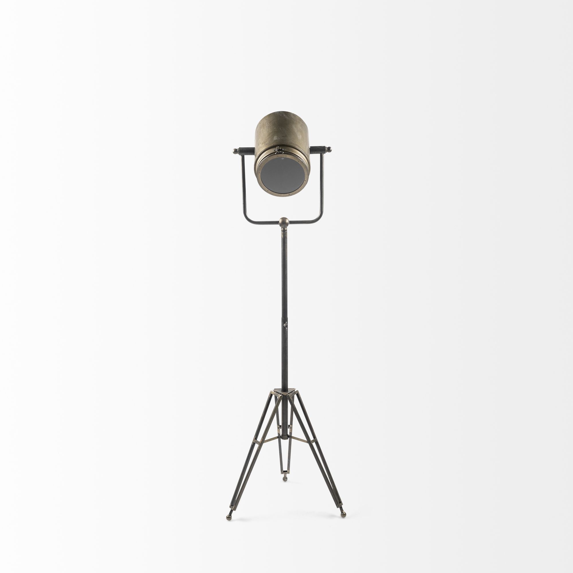 Mercana Debdou Metal Adjustable Cinema-Style Floor Lamp - Gold