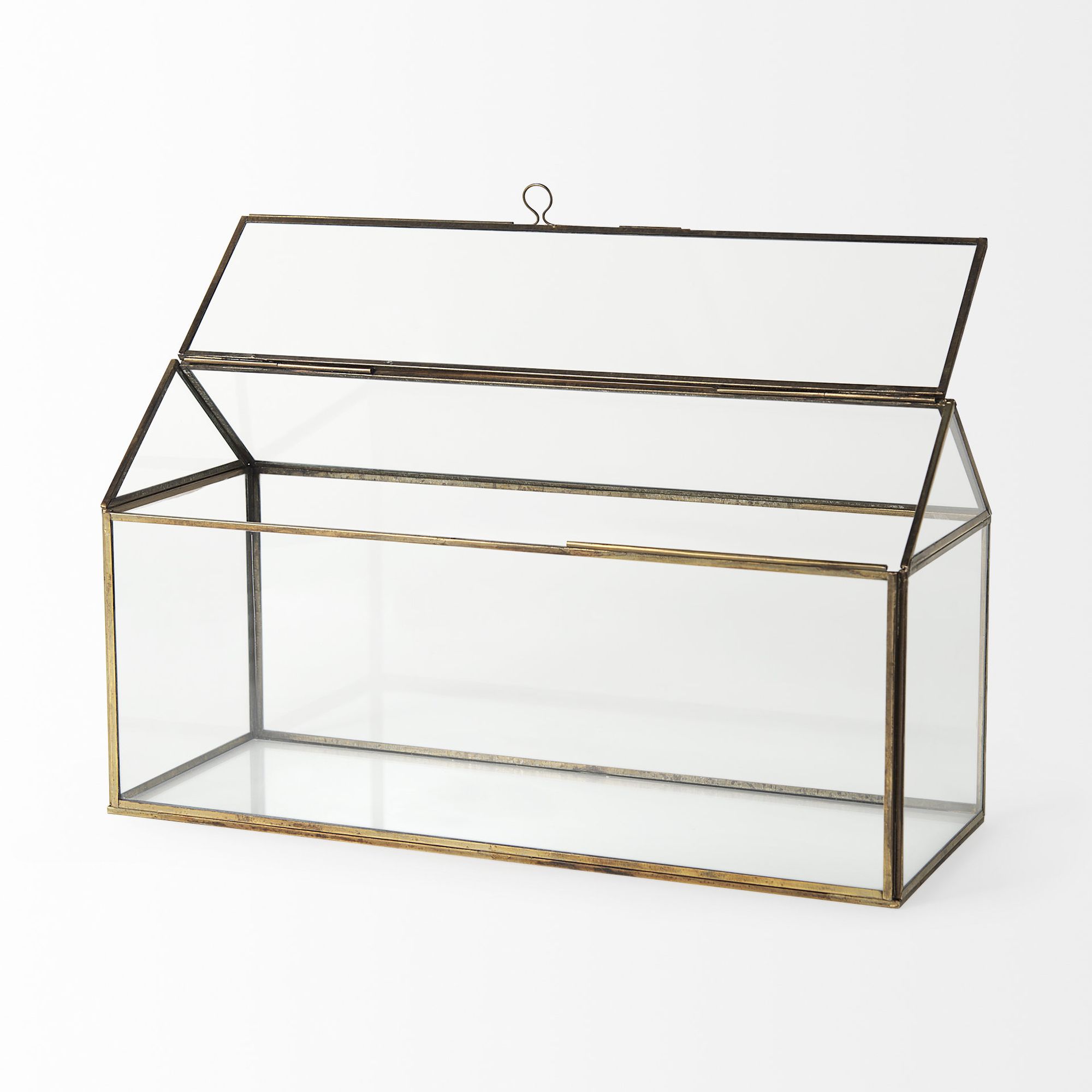 Mercana - Hutt Gold Glass Terrarium Box