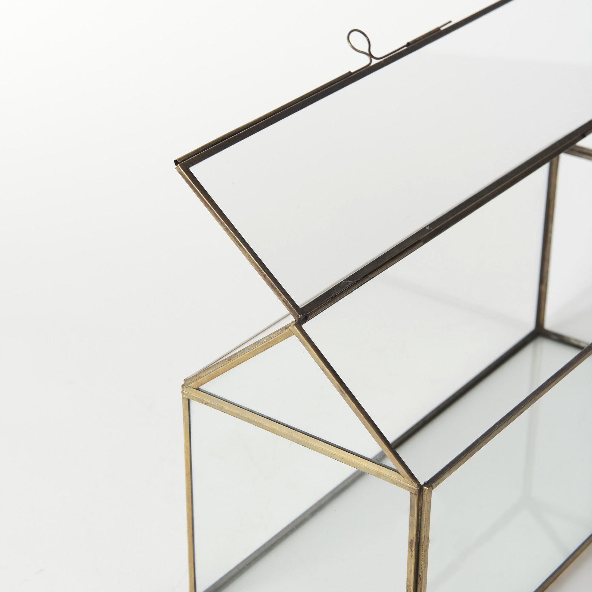 Mercana - Hutt Gold Glass Terrarium Box