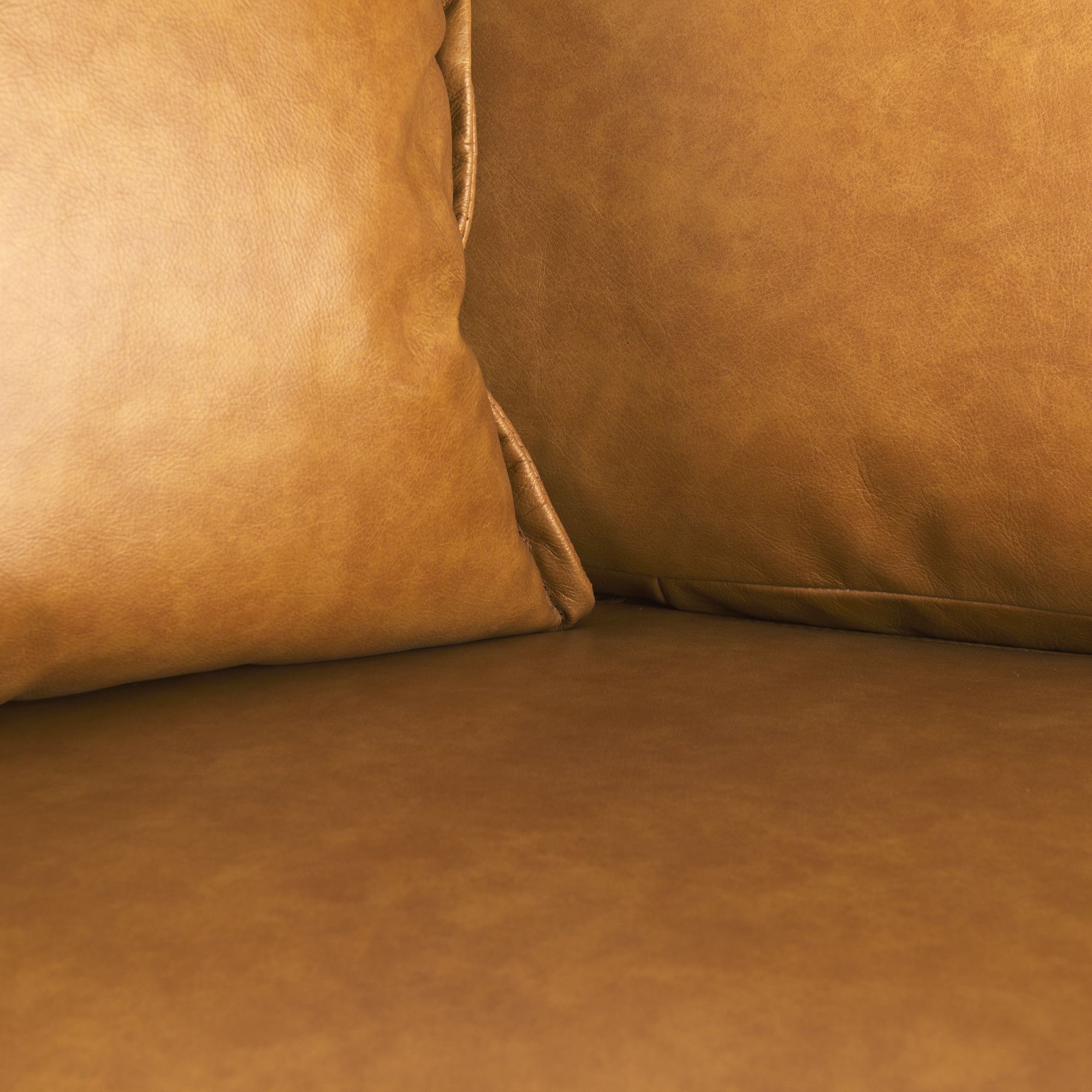 Mercana - D'Arcy Loveseat in Tan, Leather