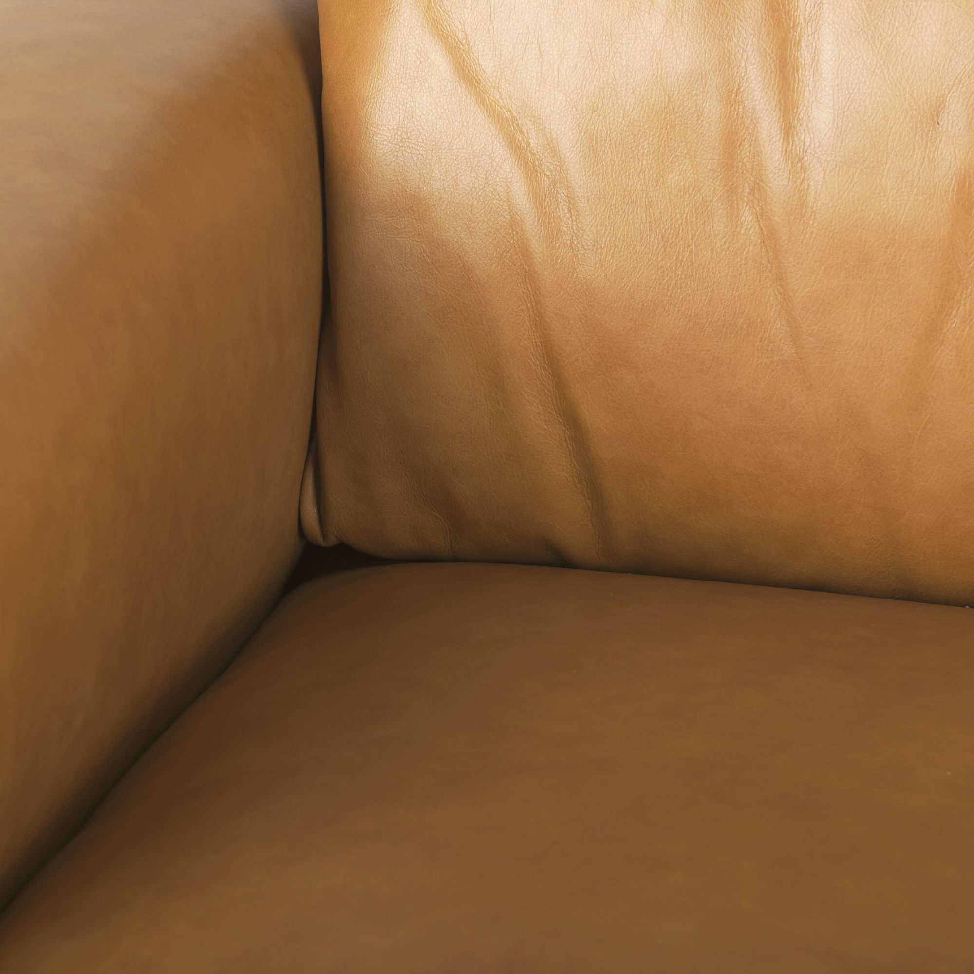 Mercana - Cedrick 2 Seater Sofa in Tan, Leather