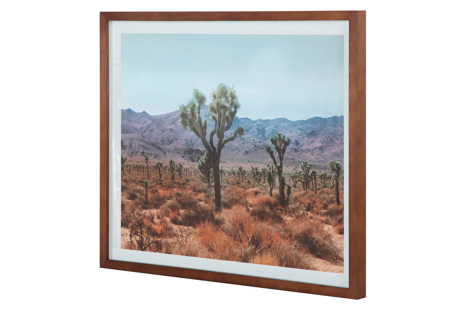 Moe's Desert Land Framed Print