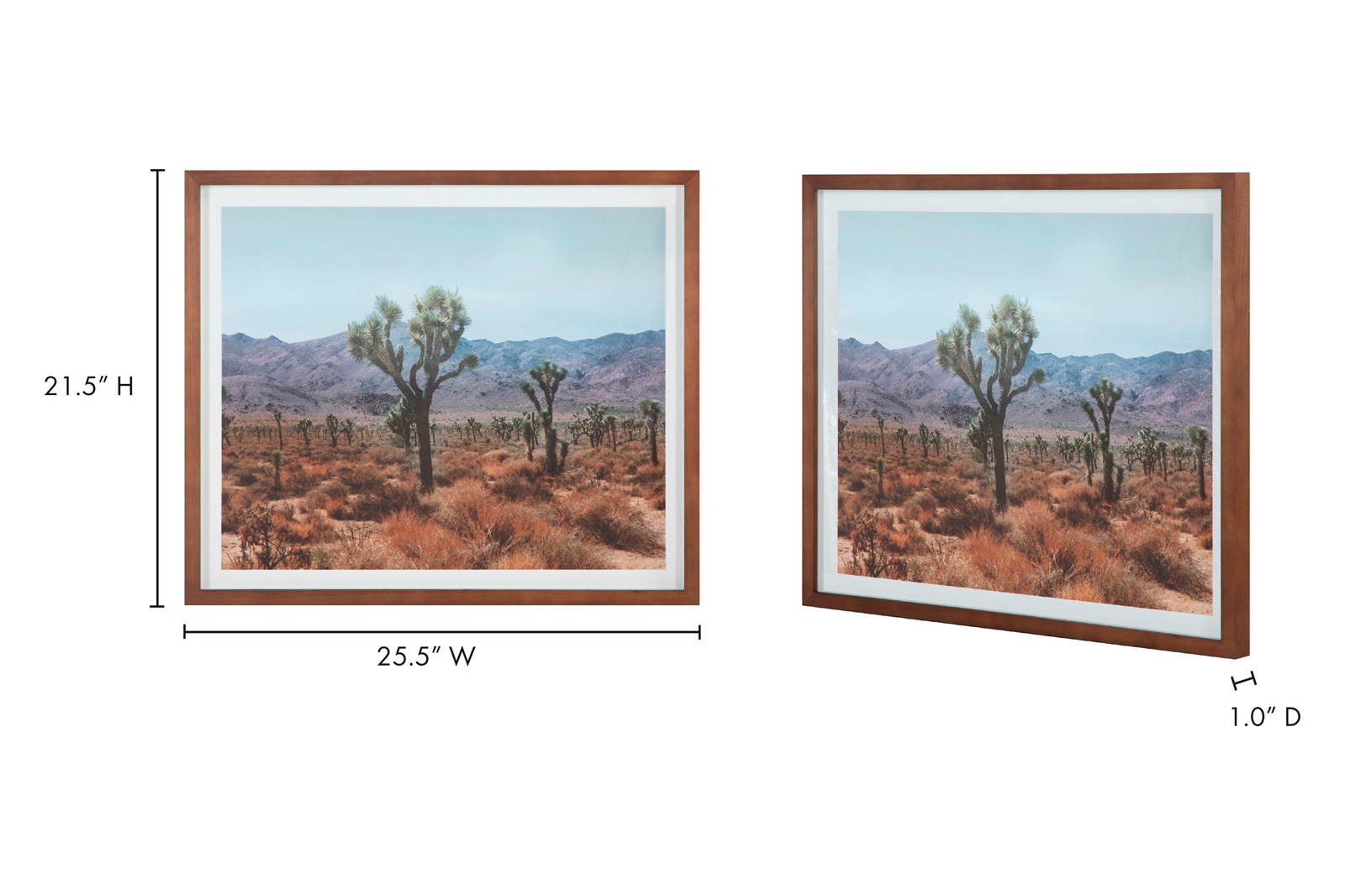 Moe's Desert Land Framed Print