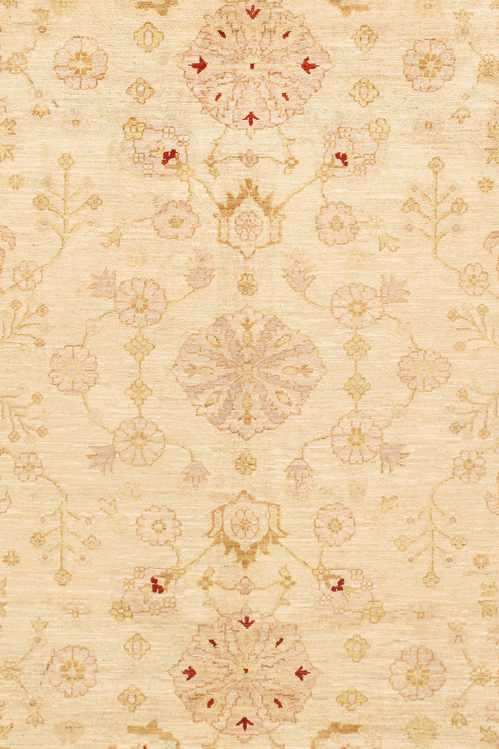 Pasargad Bakhshayesh Collection Hand-Knotted Lamb's Wool Area Rug (P-42 IVORY 9X12) - 109'' x 144''