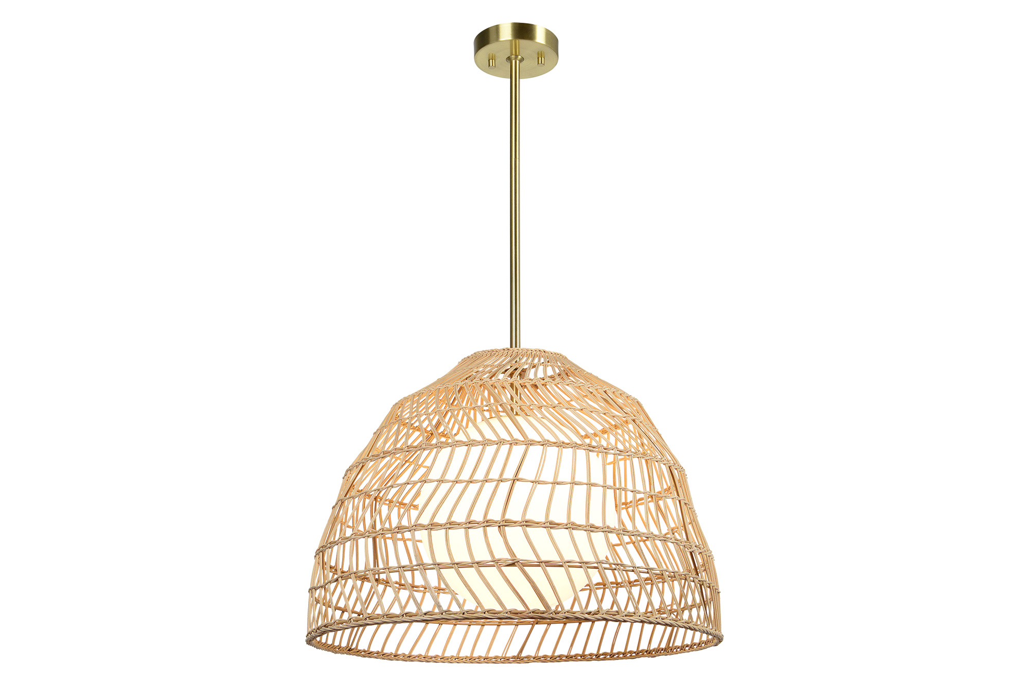 Renwil™ - Palm Pendant Lighting