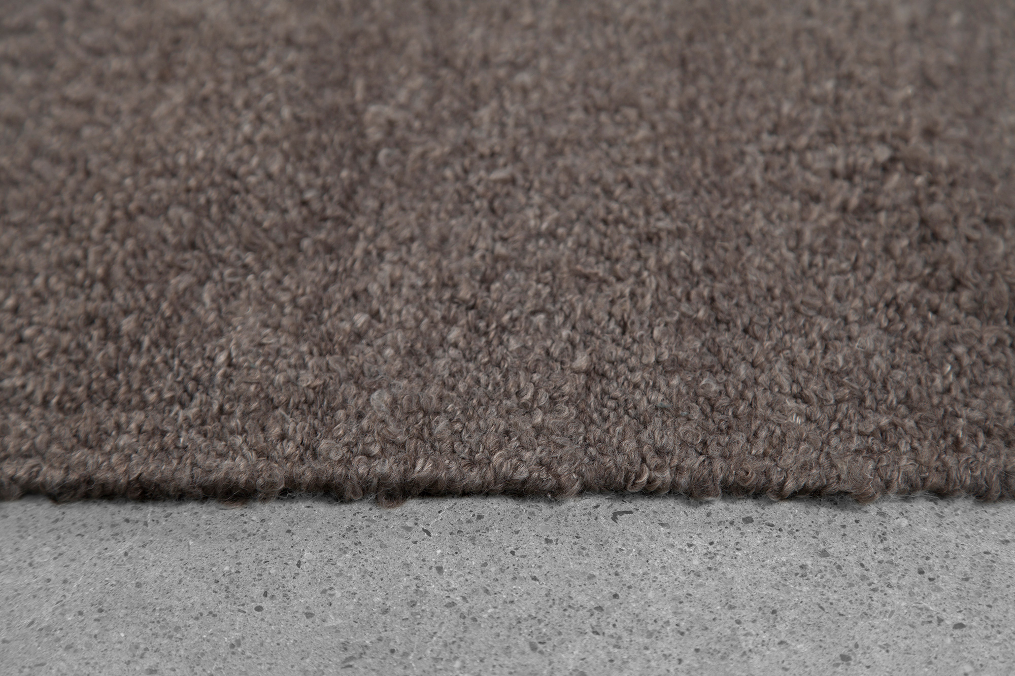 Renwil - Earthtone Rug