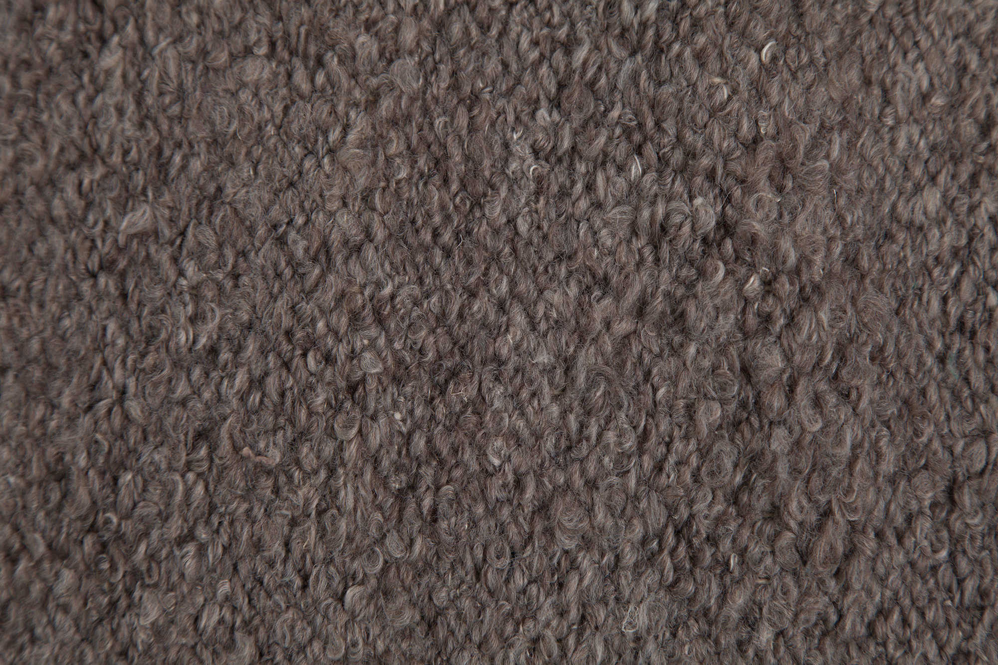 Renwil™ - Earthtone Rug