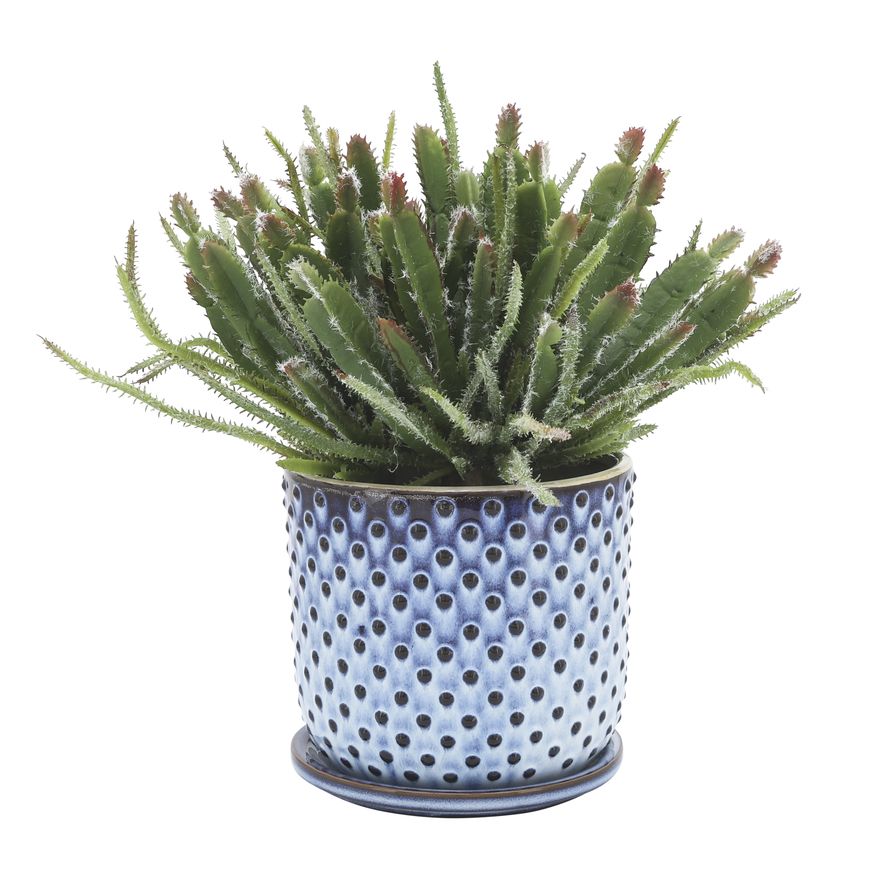 Sagebrook 6" Ceramic Dotted Planter With Saucer - Blue