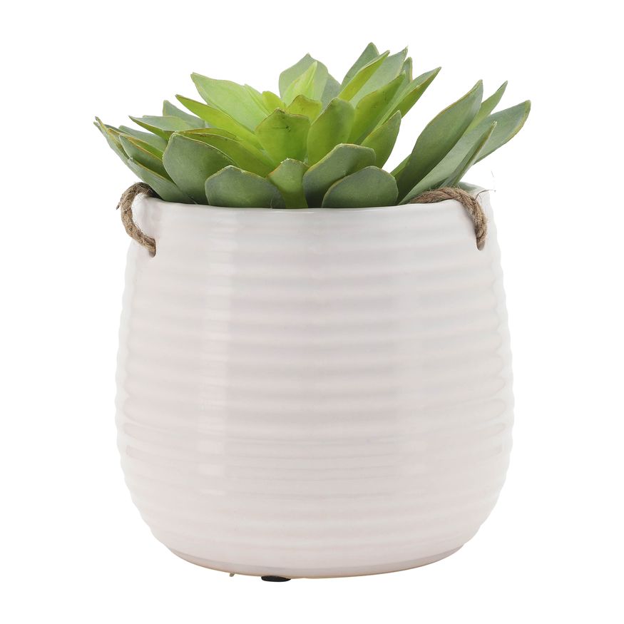 Sagebrook 6" Hanging Planter - White