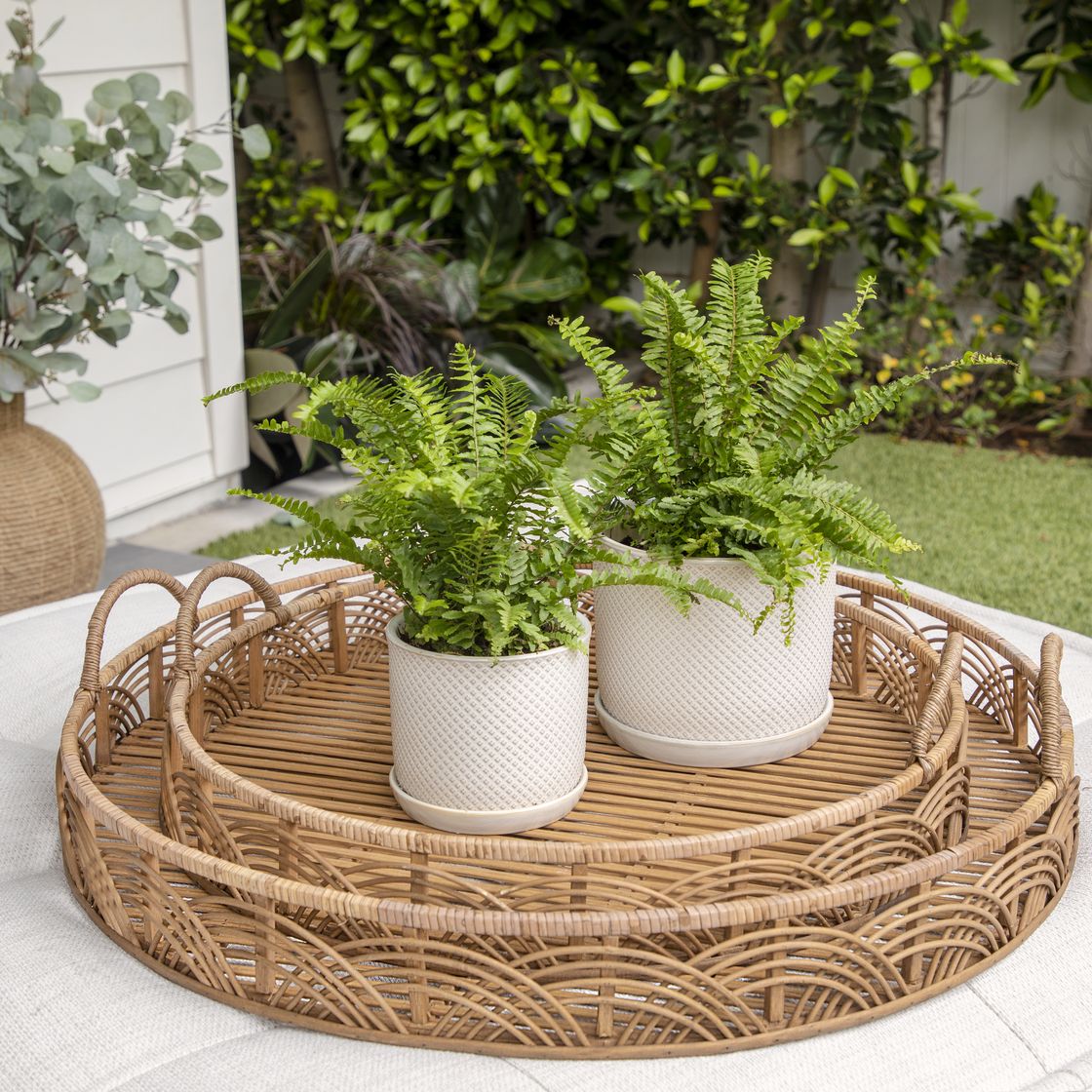 Sagebrook 6"/8" Square Dot Planters With Saucer (Set Of 2) - Beige