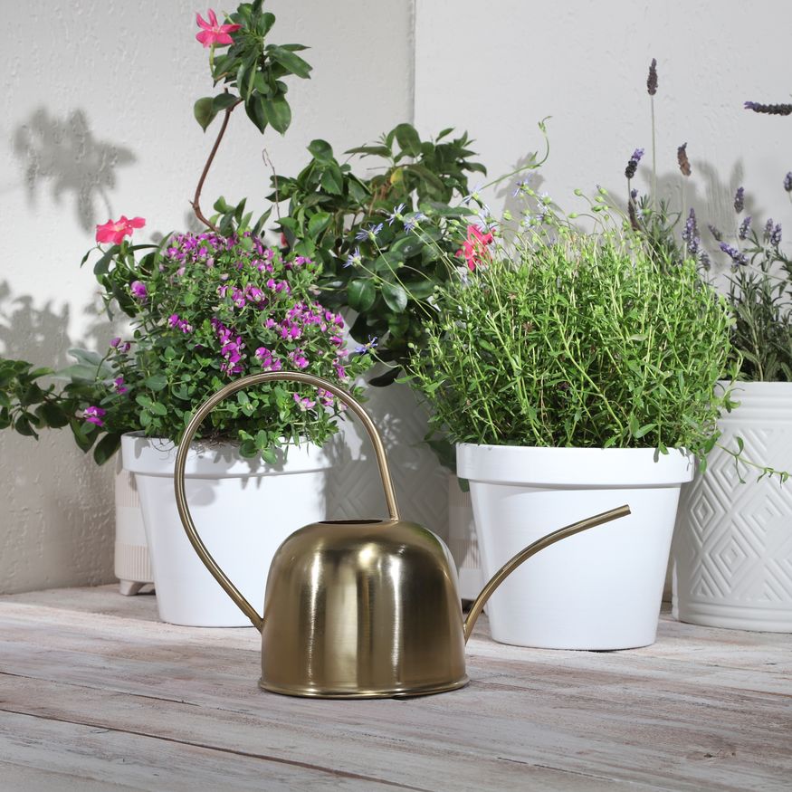 Sagebrook Metal 11" Watering Can - Gold