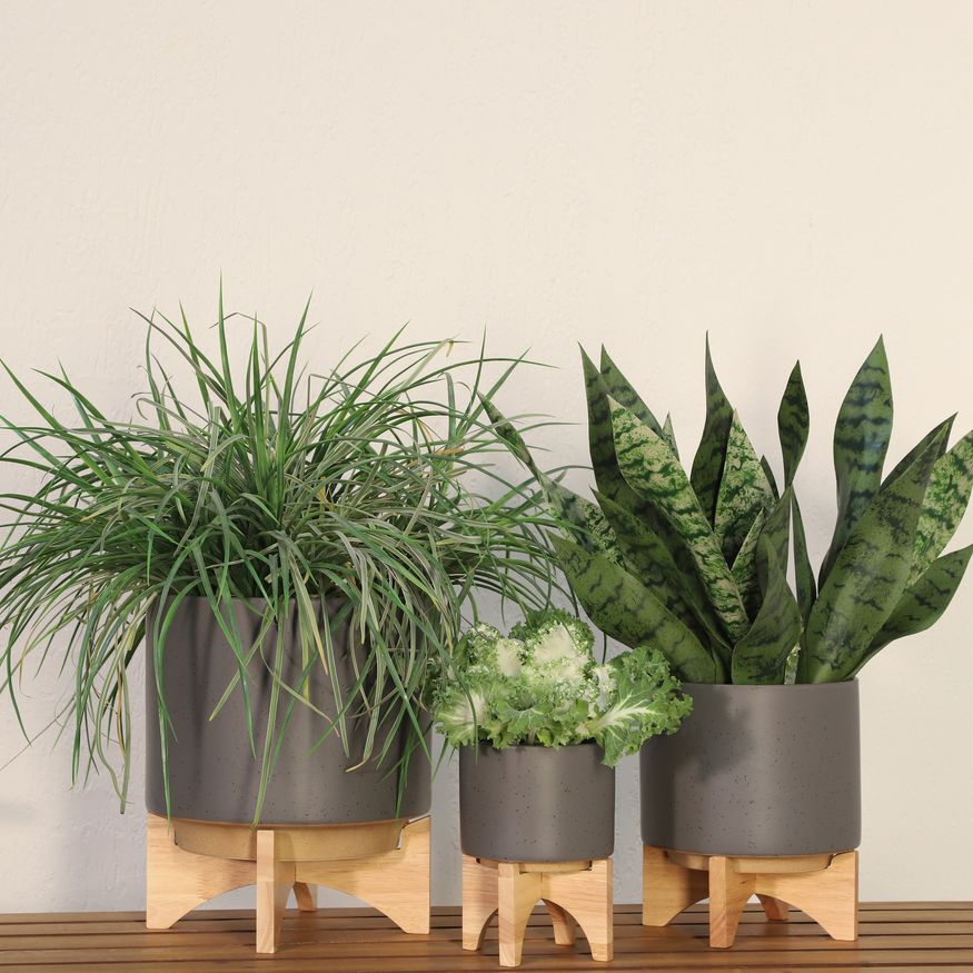 Sagebrook™ 8" Planter With Wood Stand - Matte Gray