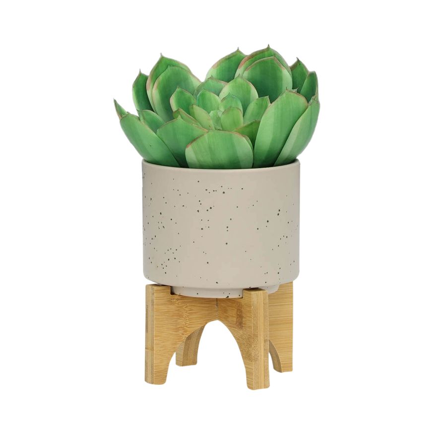 Sagebrook 5"/8" Planters With Wood Stand (Set Of 2) - Matte Beige